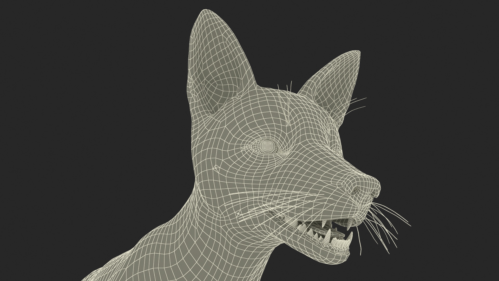 Vulpes Vulpes Basic Pose 3D model