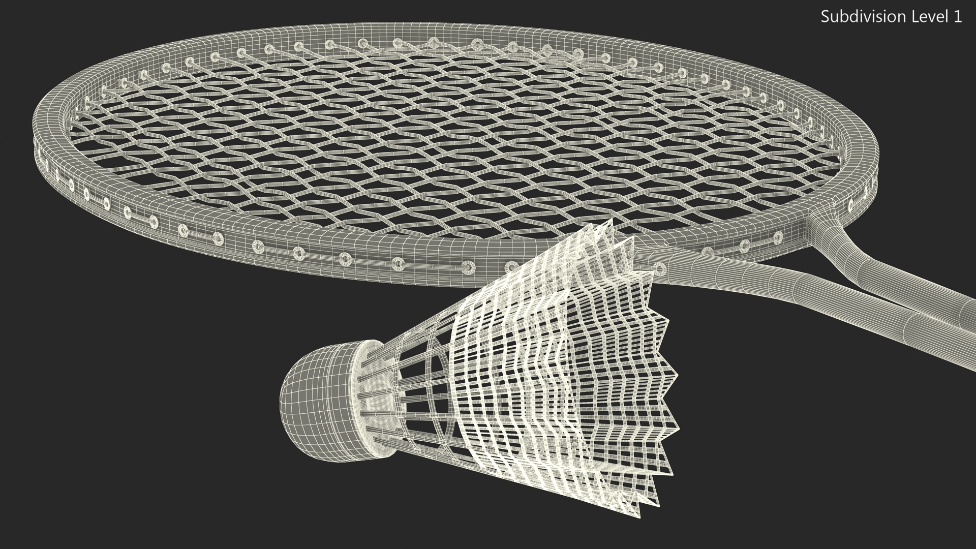3D Badminton Rackets and Shuttlecock model