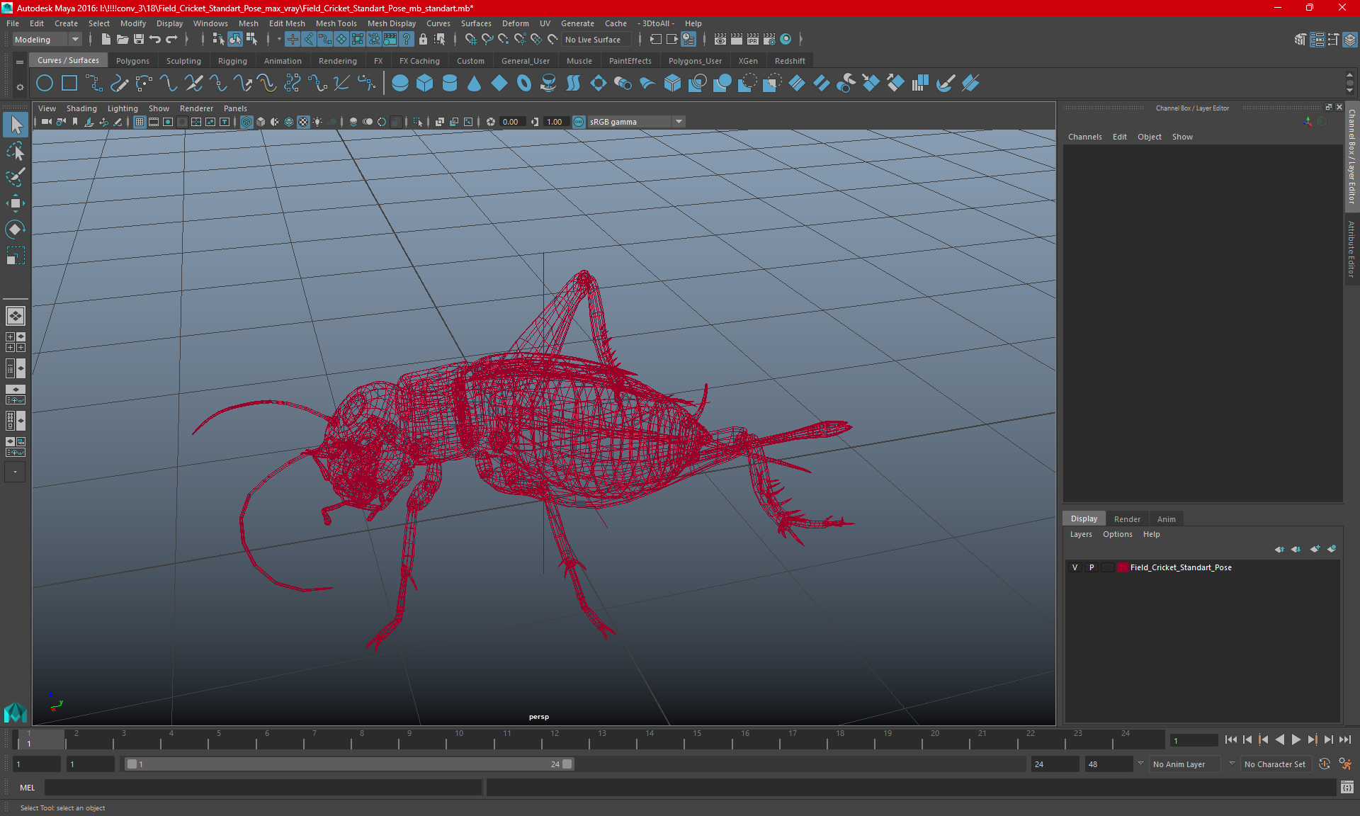 Field Cricket Standart Pose 3D