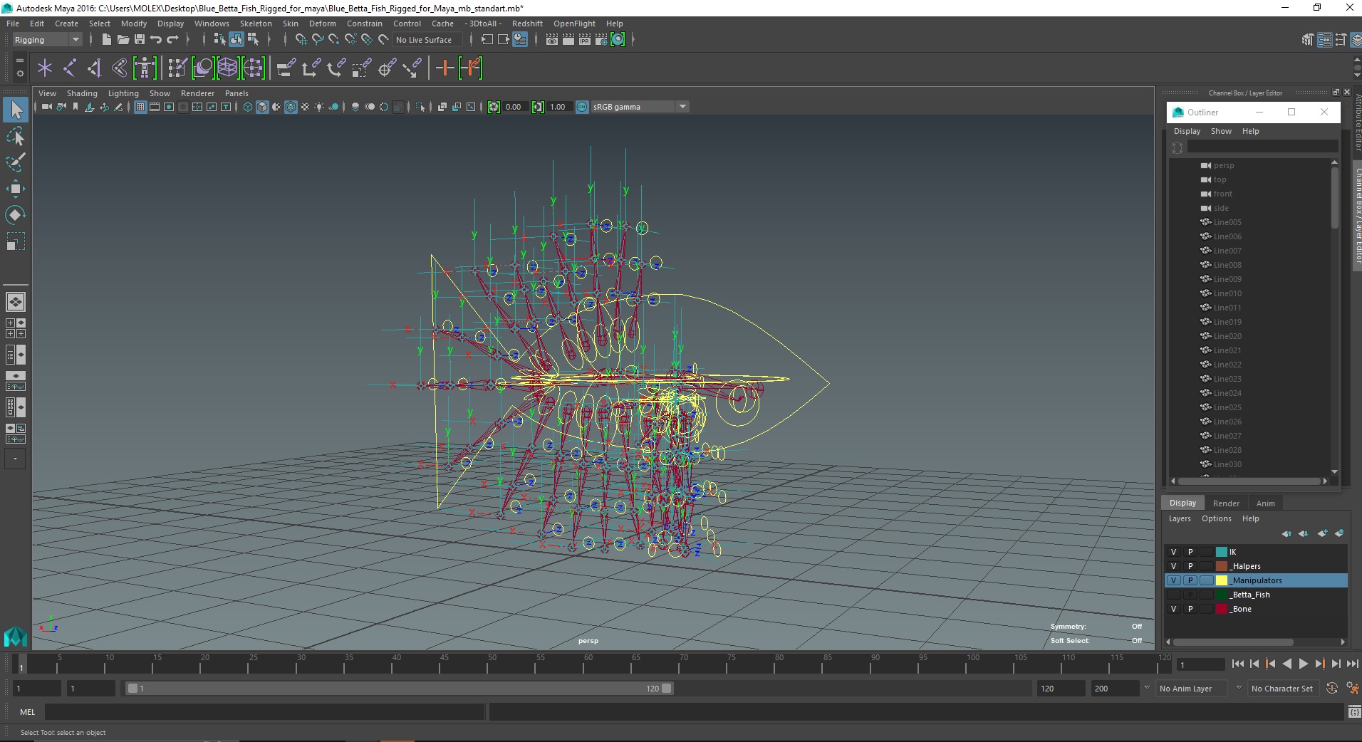 3D Blue Betta Fish Rigged for Maya