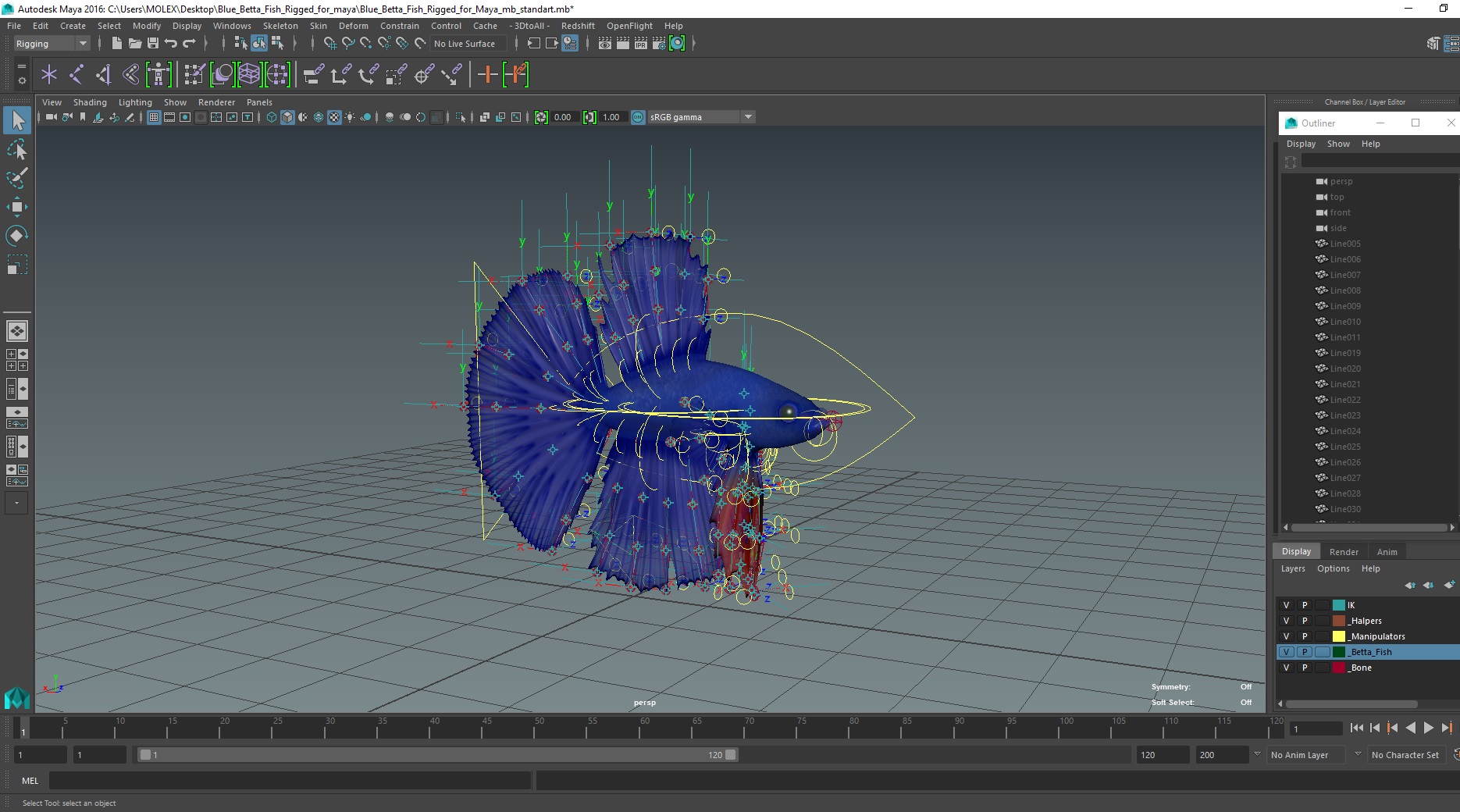 3D Blue Betta Fish Rigged for Maya