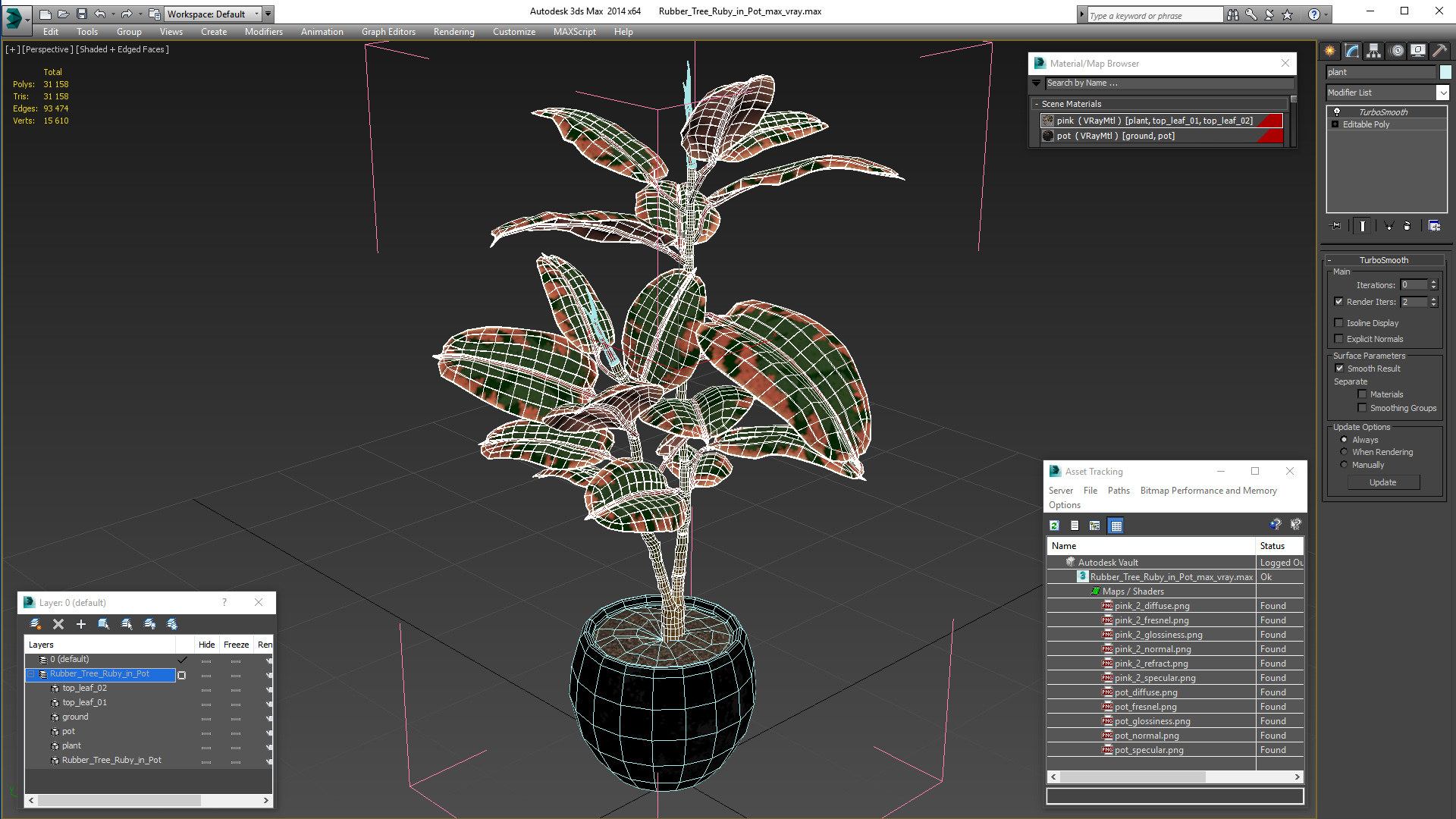 3D Rubber Tree Ruby in Pot model