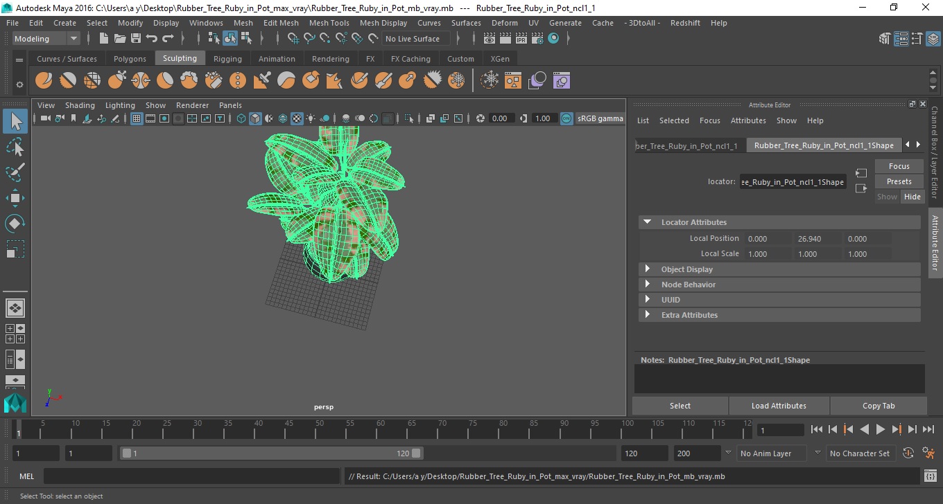 3D Rubber Tree Ruby in Pot model