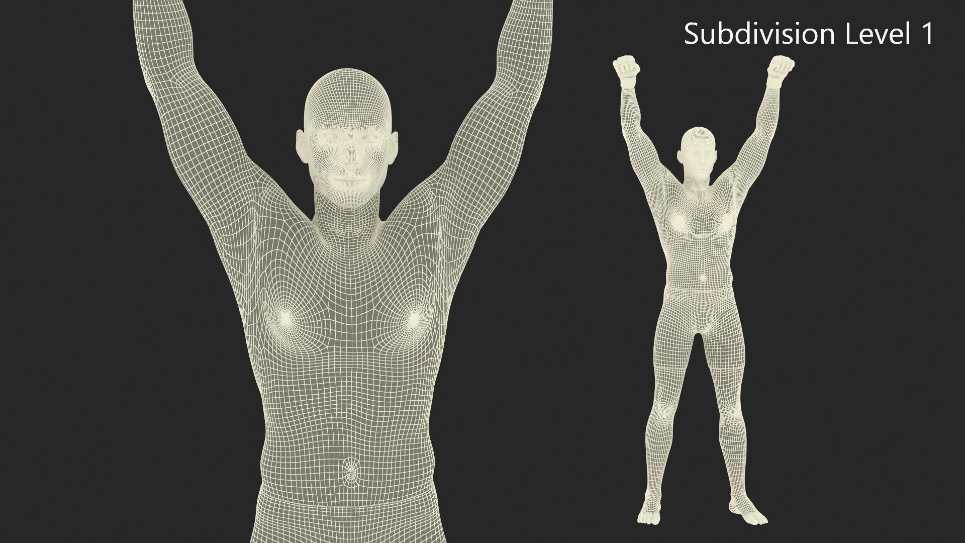 UFC MMA Fighter in Victory Pose Sweaty Fur 3D