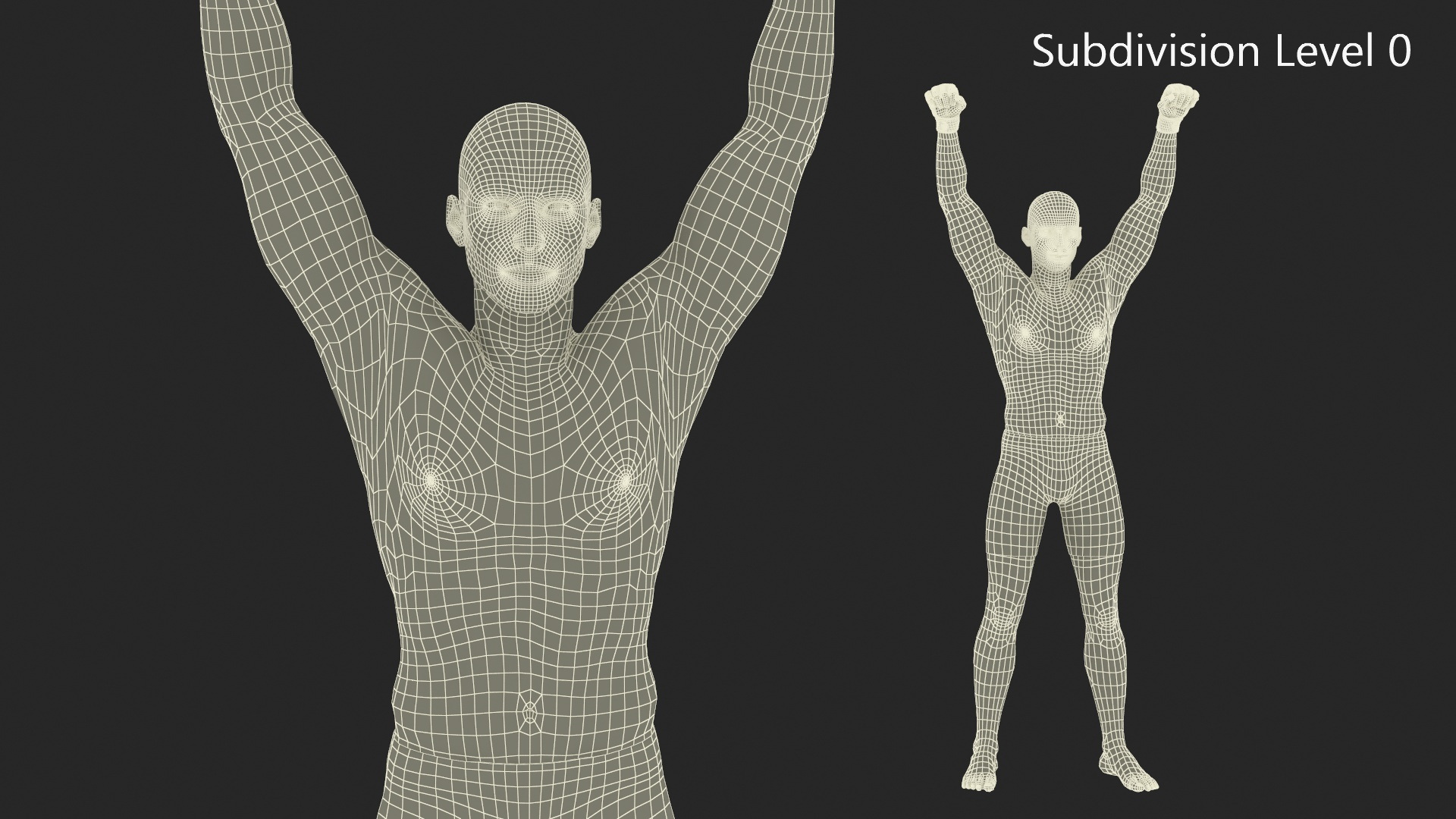 UFC MMA Fighter in Victory Pose Sweaty Fur 3D