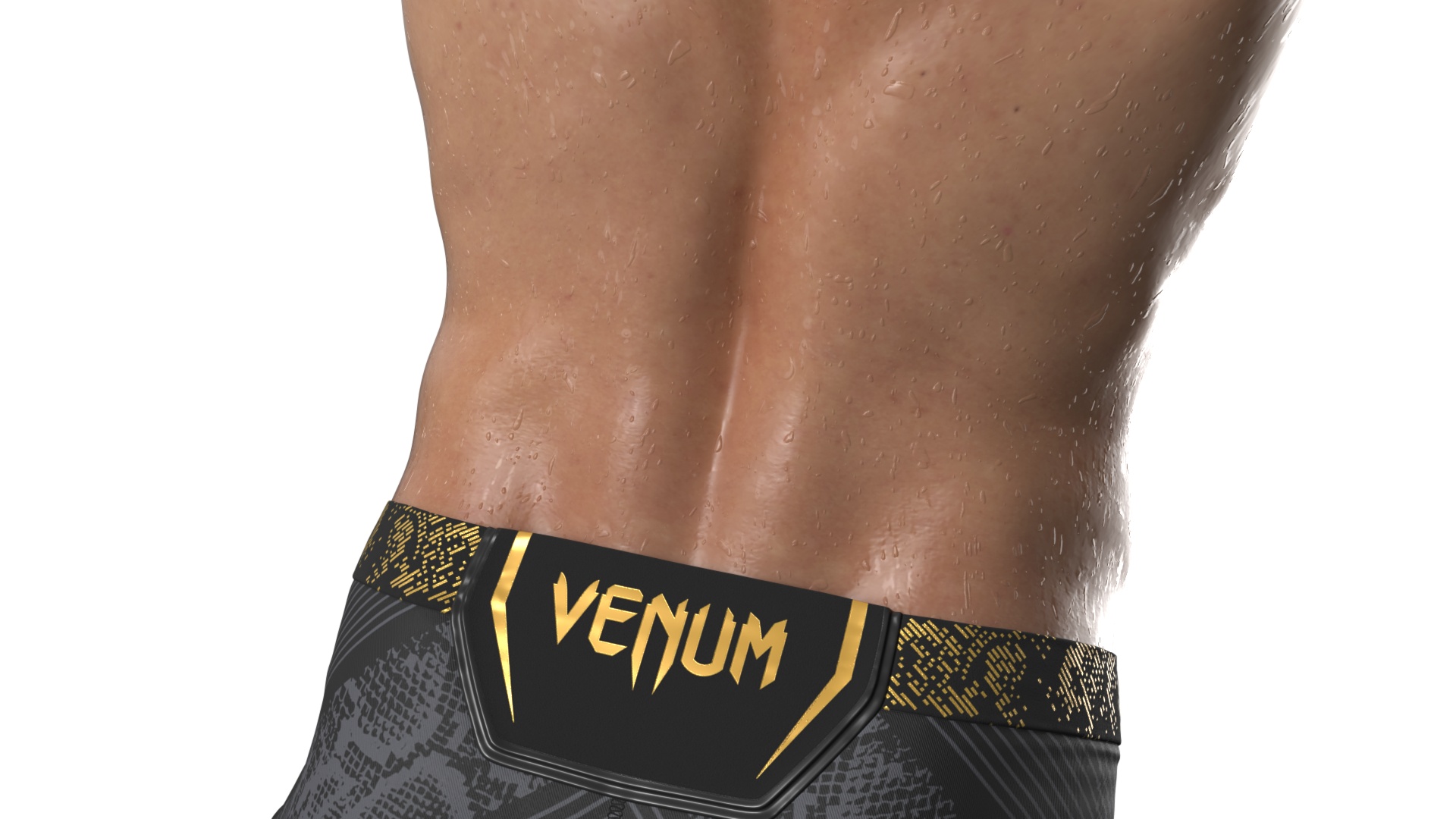 UFC MMA Fighter in Victory Pose Sweaty Fur 3D