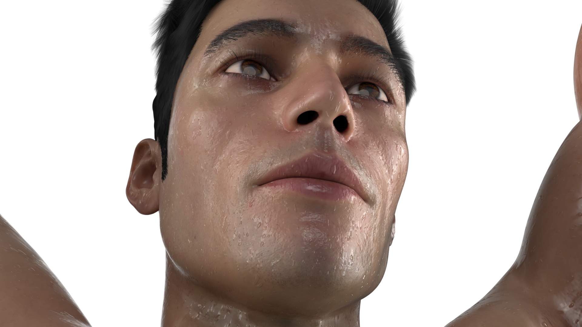 UFC MMA Fighter in Victory Pose Sweaty Fur 3D