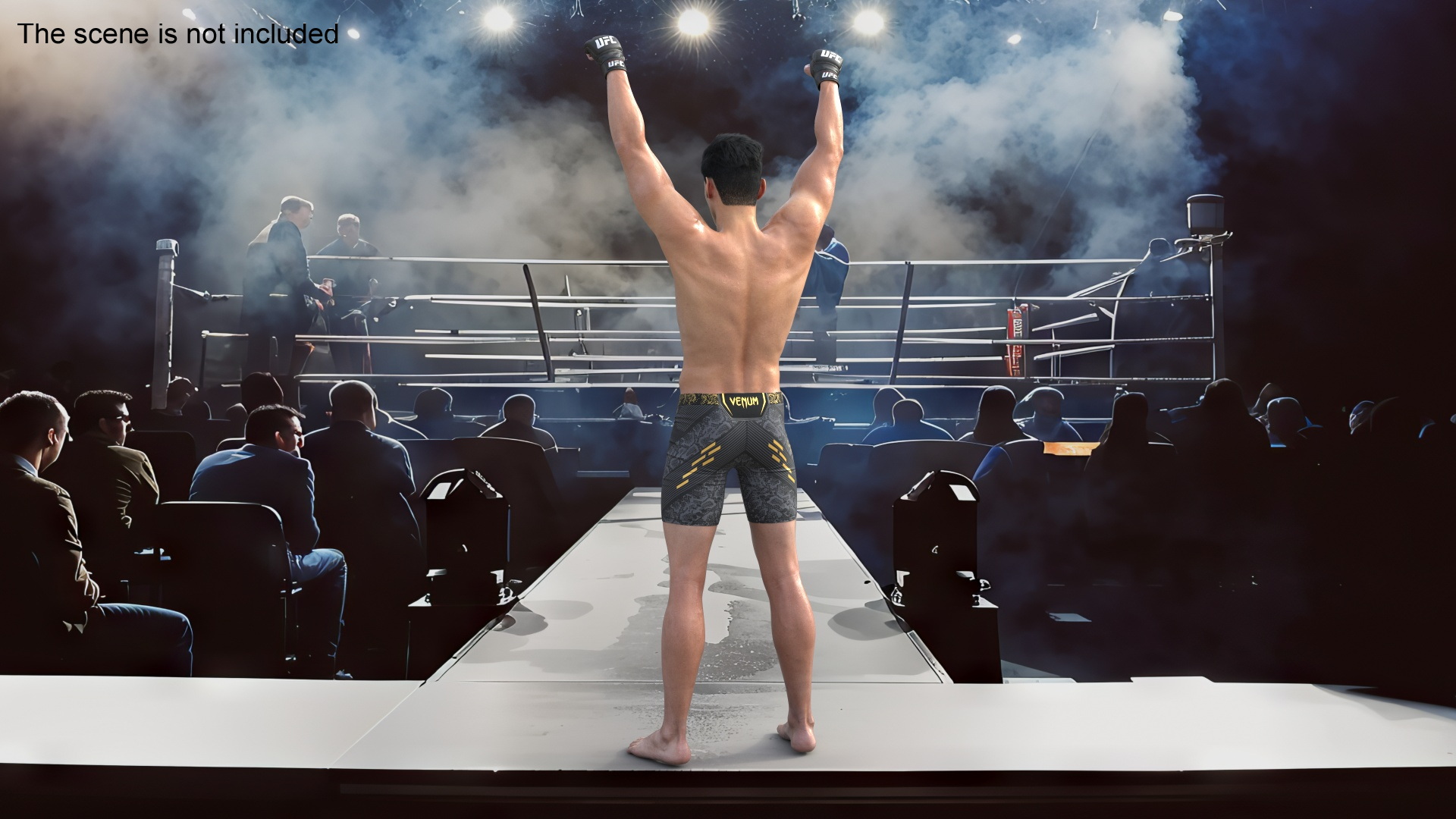 UFC MMA Fighter in Victory Pose Sweaty Fur 3D