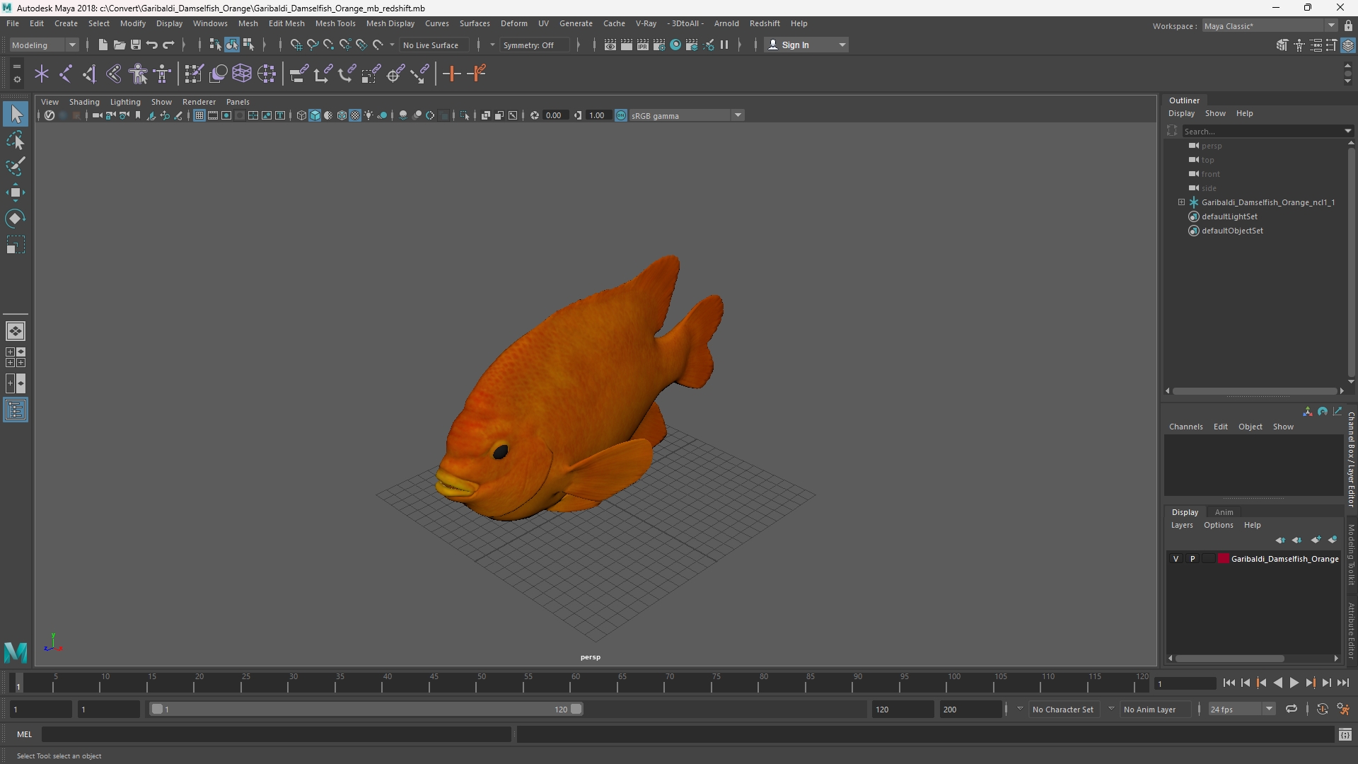 Garibaldi Damselfish Orange, view 10