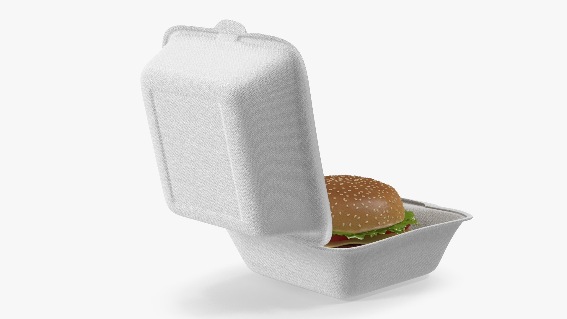 3D Food Box with Hamburger model