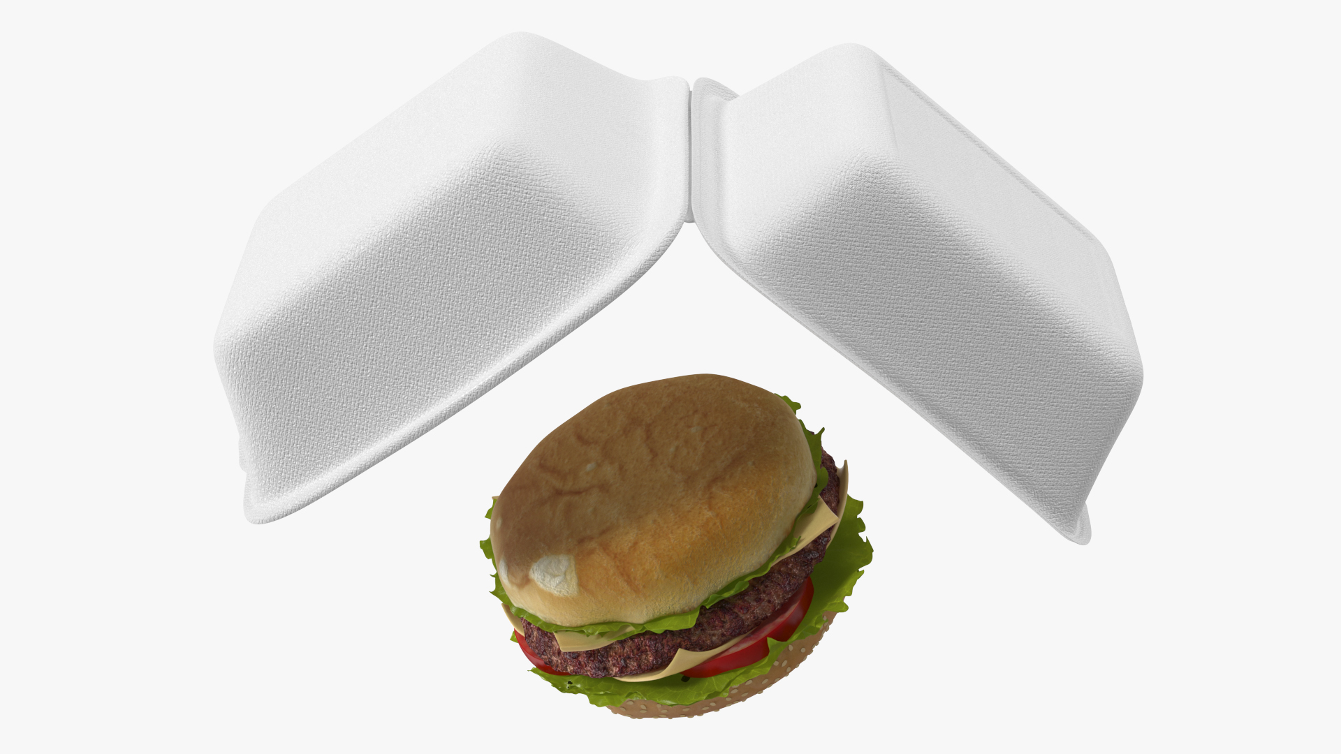 3D Food Box with Hamburger model