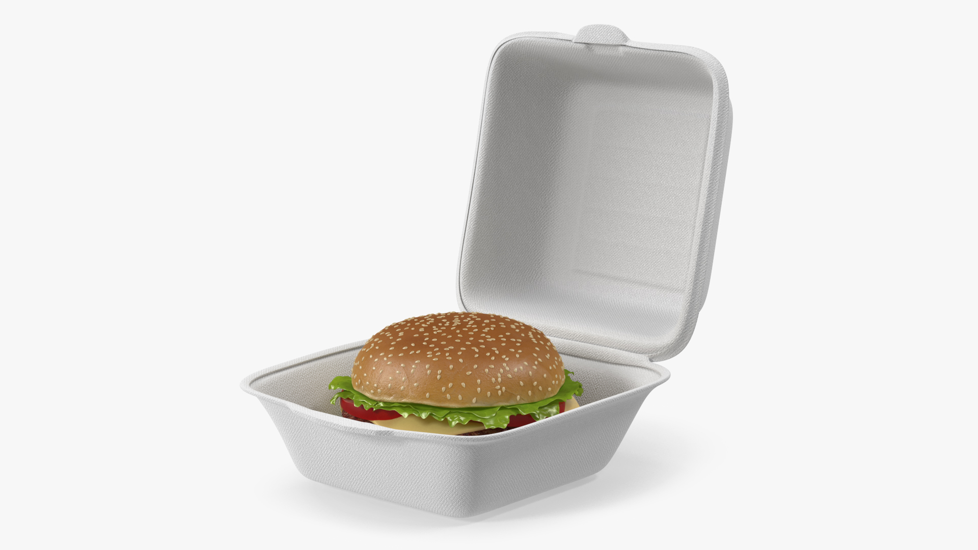 3D Food Box with Hamburger model