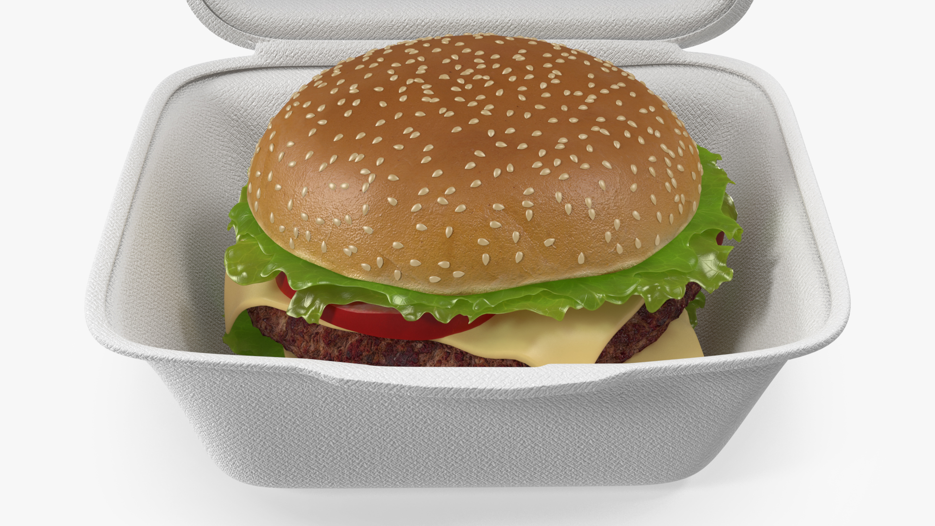 3D Food Box with Hamburger model