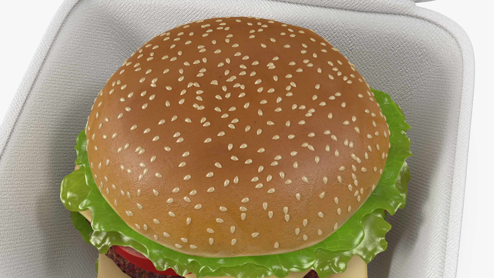 3D Food Box with Hamburger model