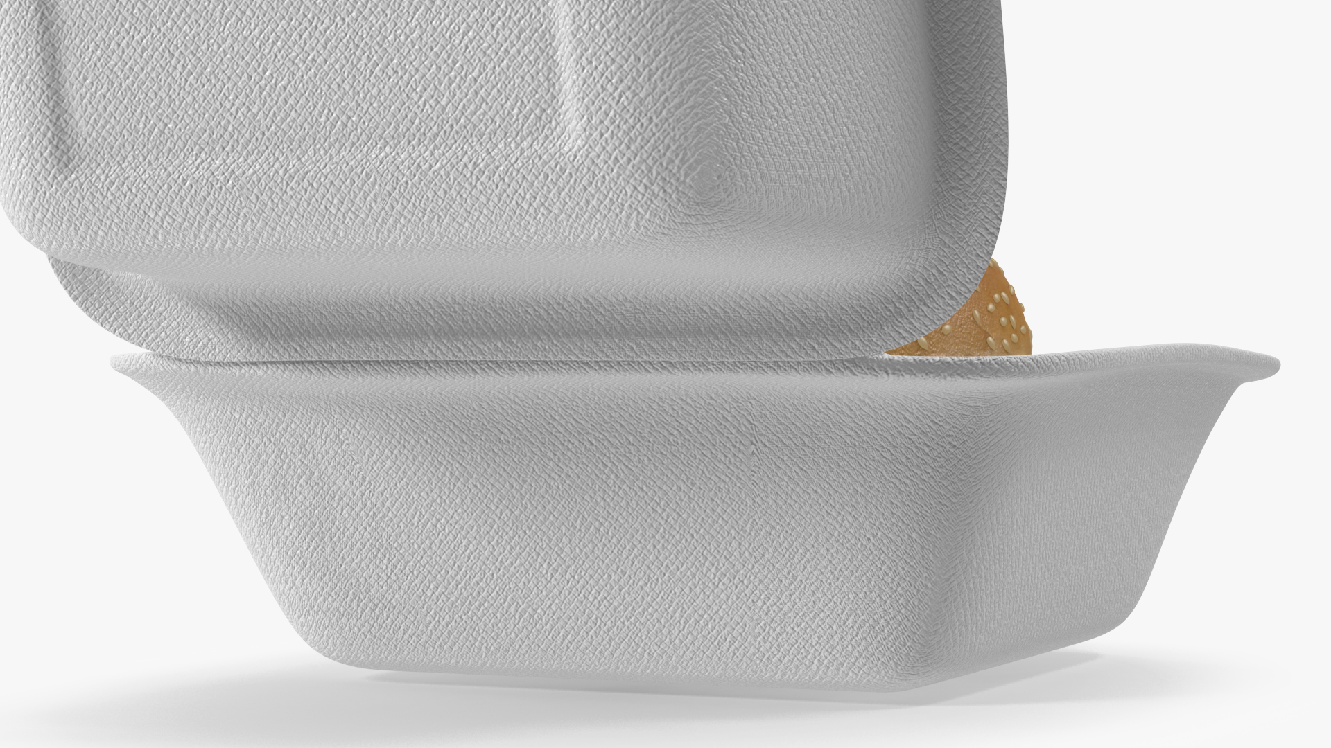3D Food Box with Hamburger model
