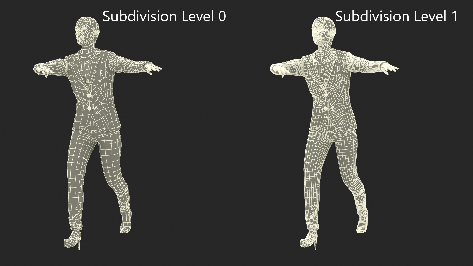 Professional Businesswoman Fur Rigged 3D