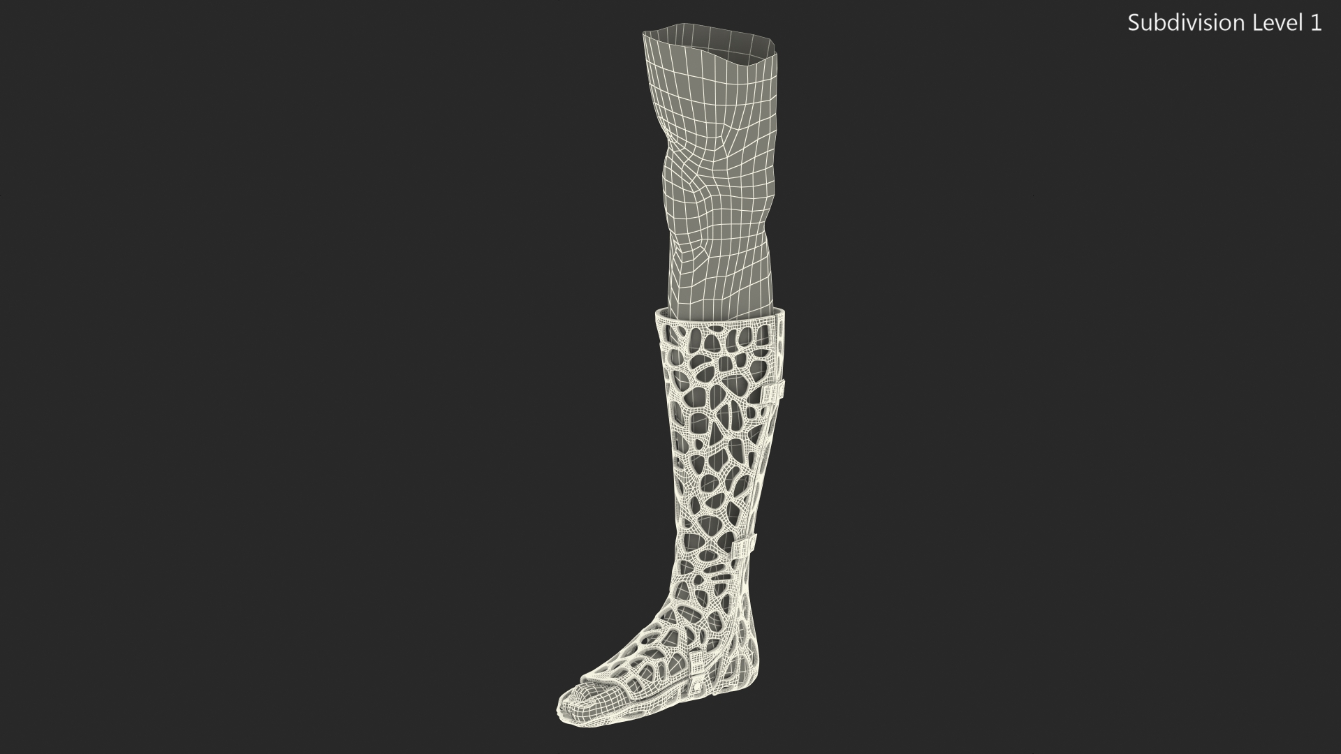3D 3D-Printed Orthopedic Cast On Leg model