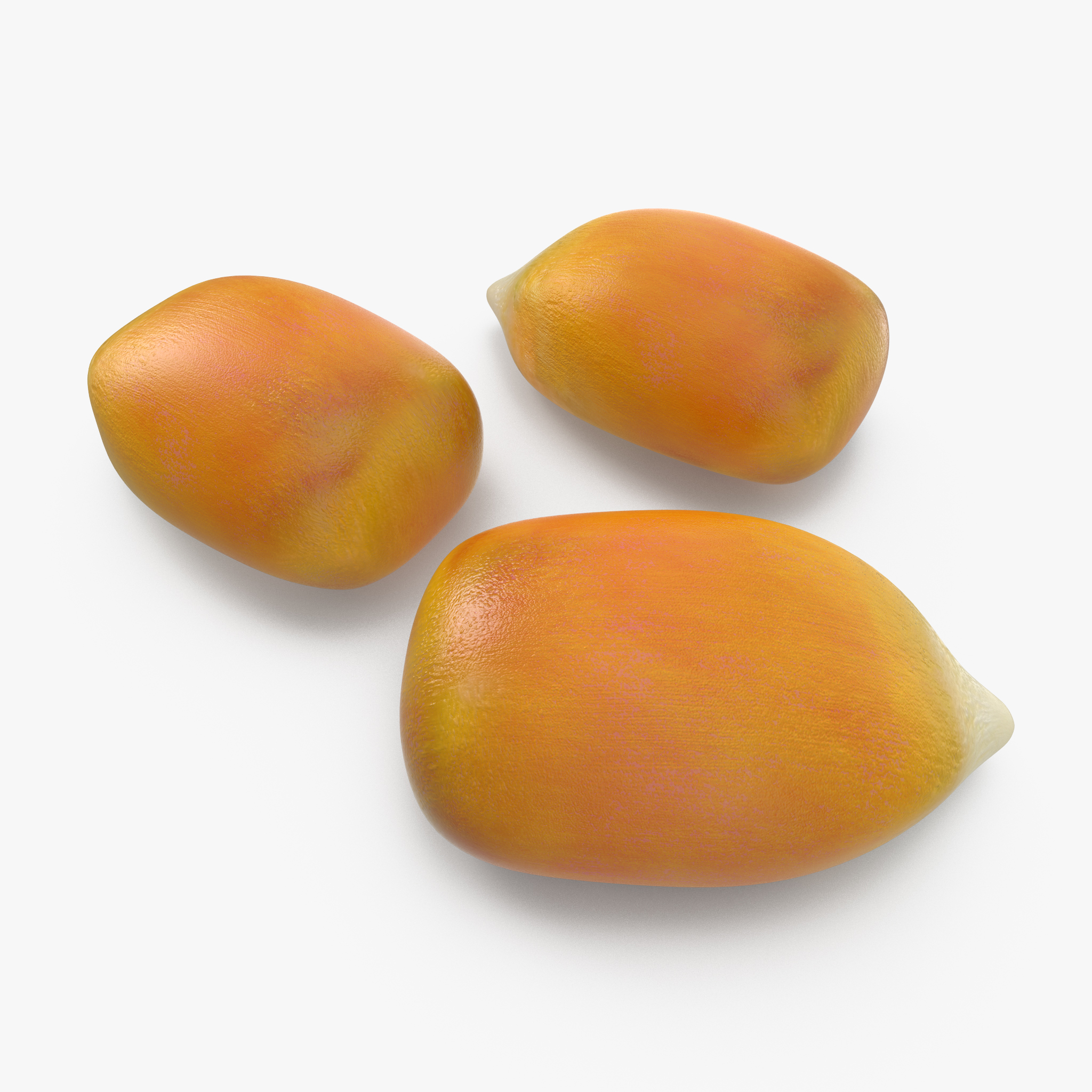 Corn Seed, view 3