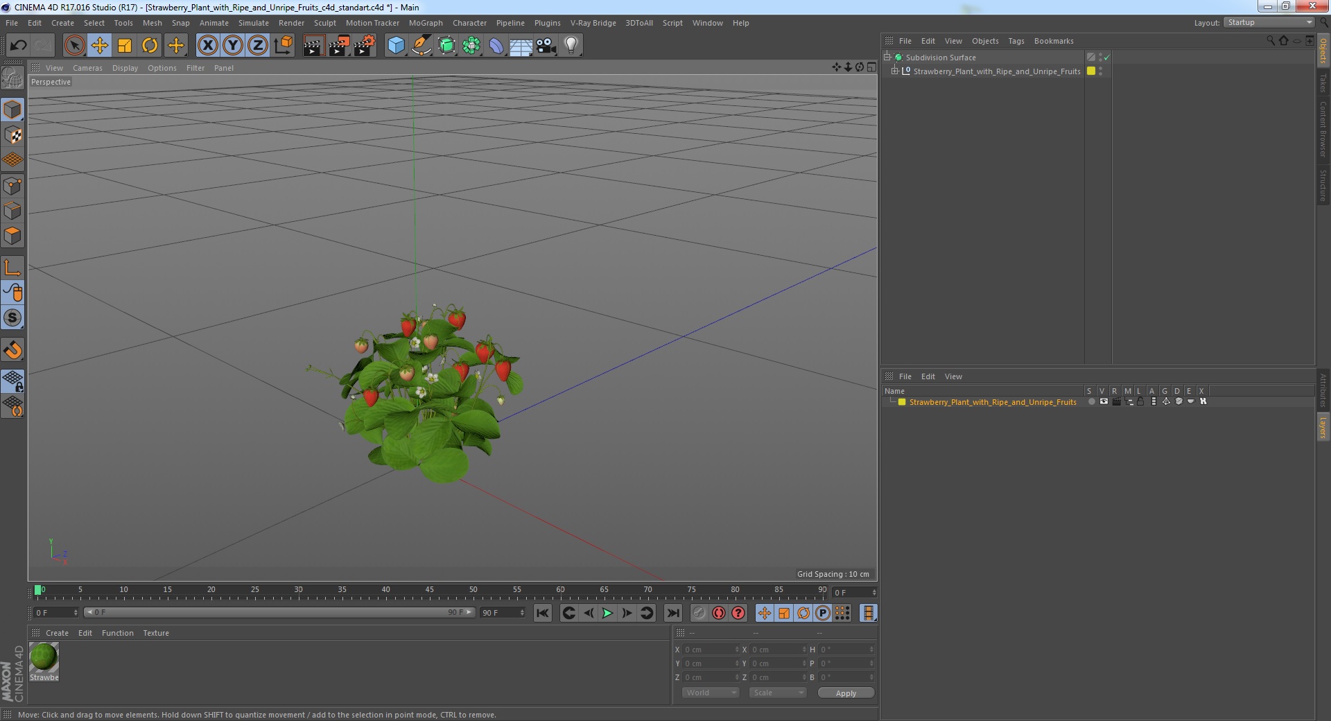 Strawberry Plant with Ripe and Unripe Fruits 3D model