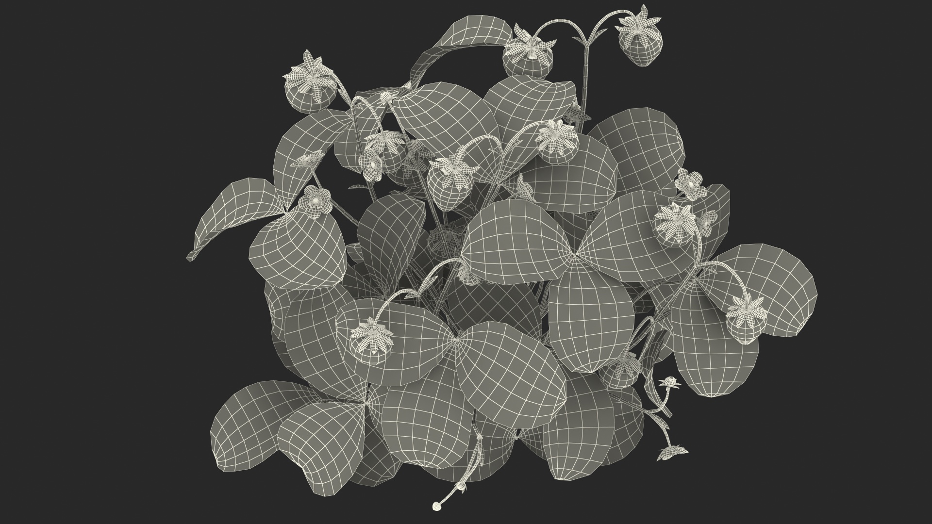 Strawberry Plant with Ripe and Unripe Fruits 3D model