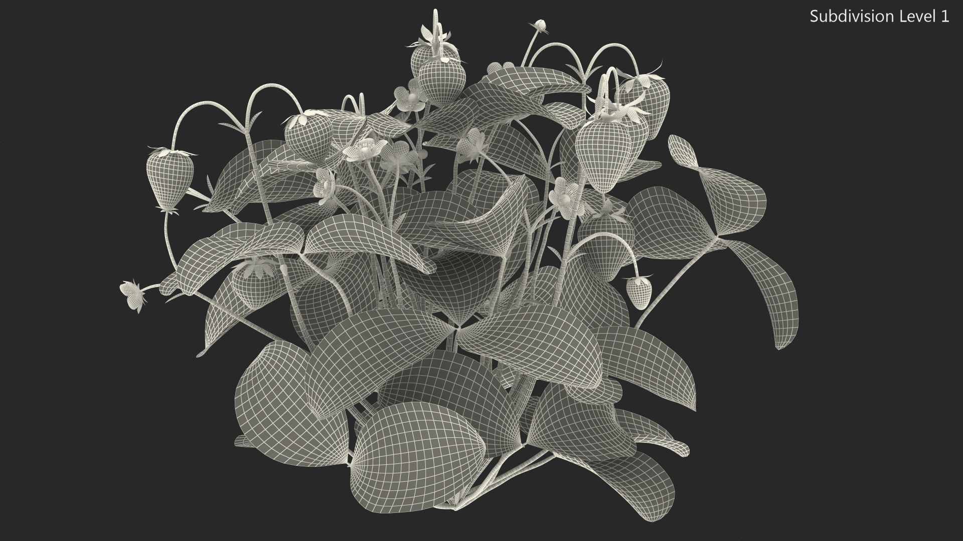 Strawberry Plant with Ripe and Unripe Fruits 3D model