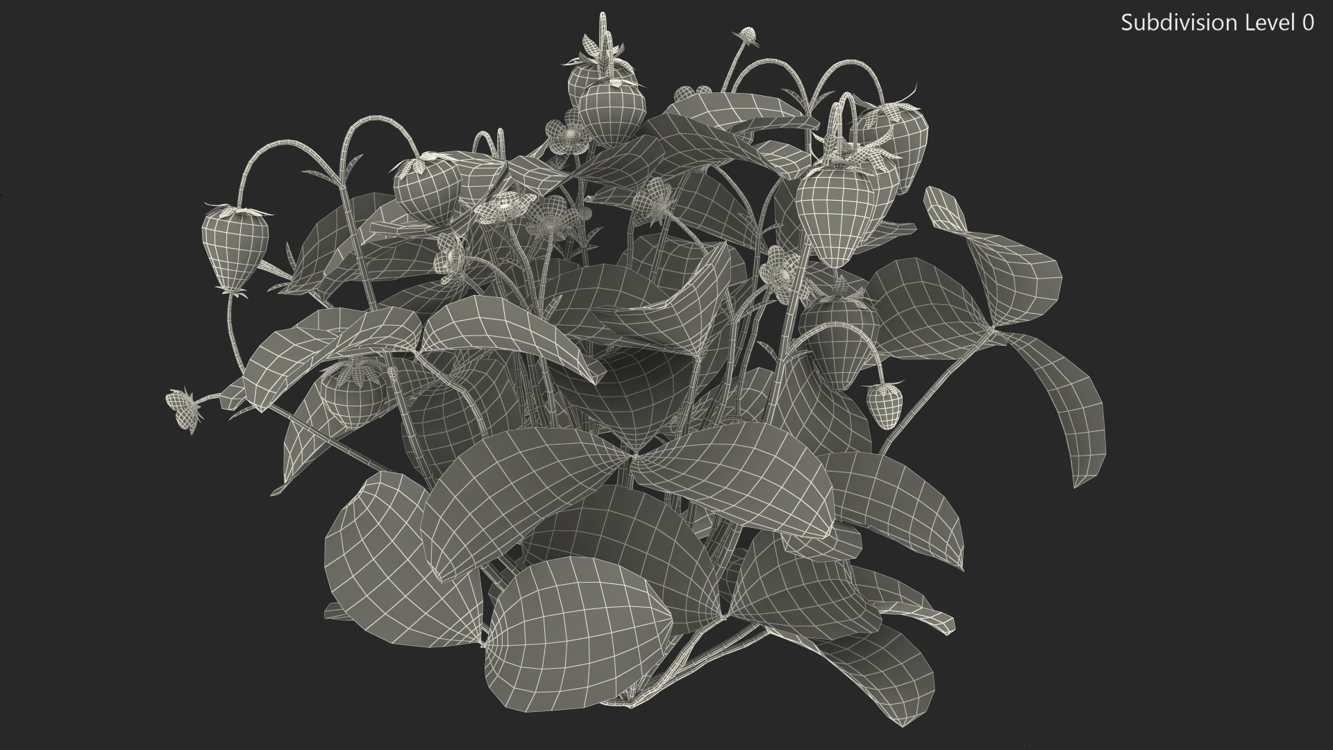 Strawberry Plant with Ripe and Unripe Fruits 3D model