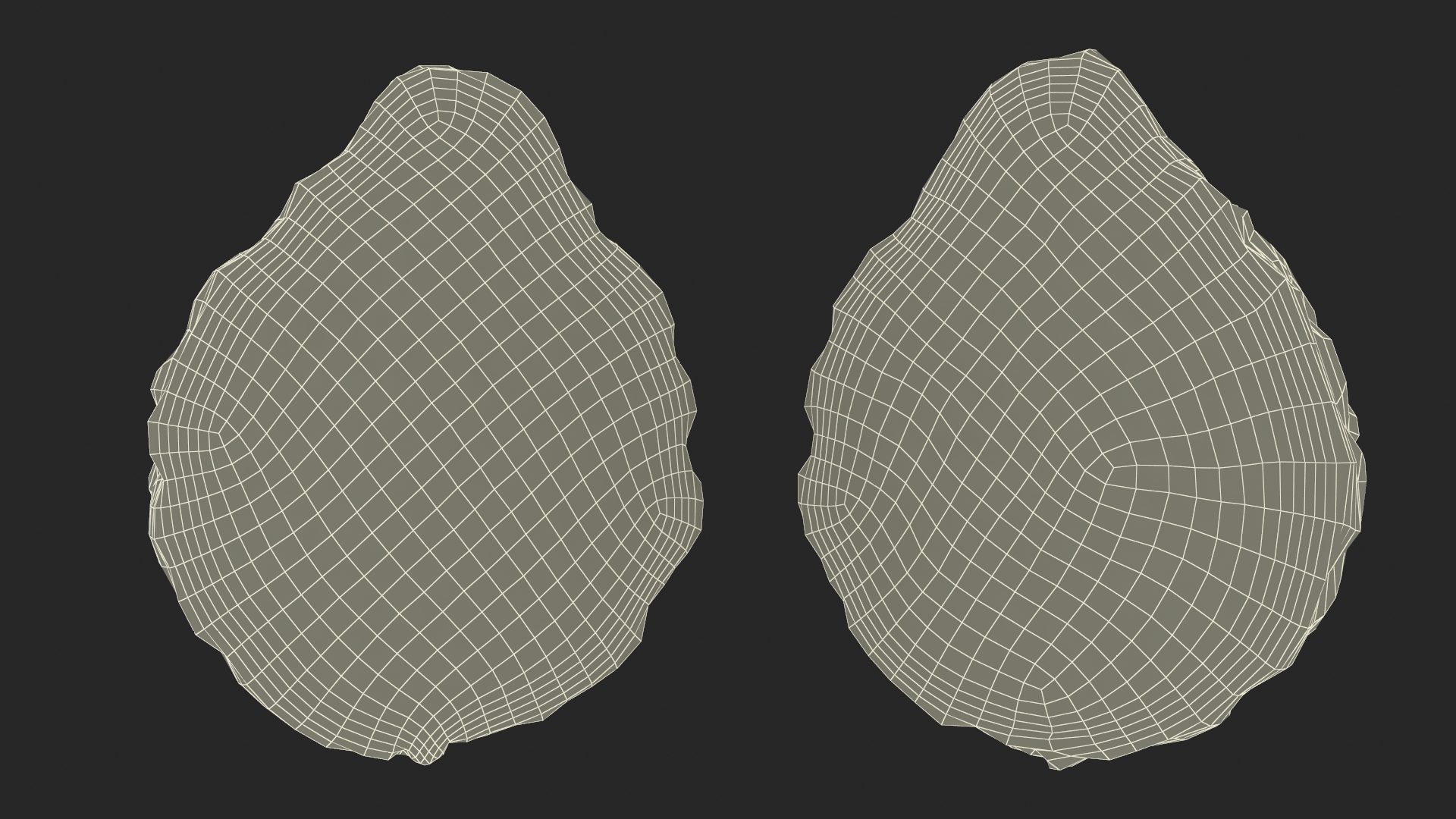3D Bergamot Half model
