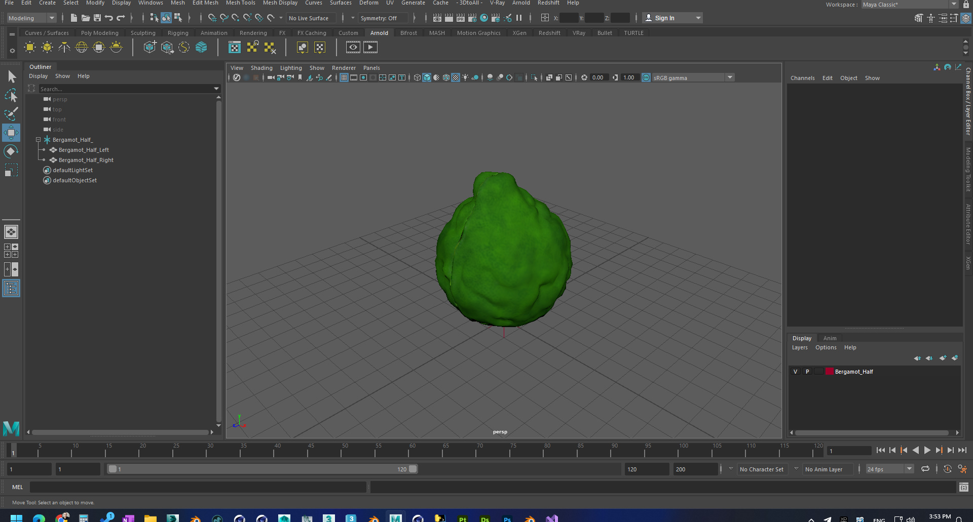 3D Bergamot Half model