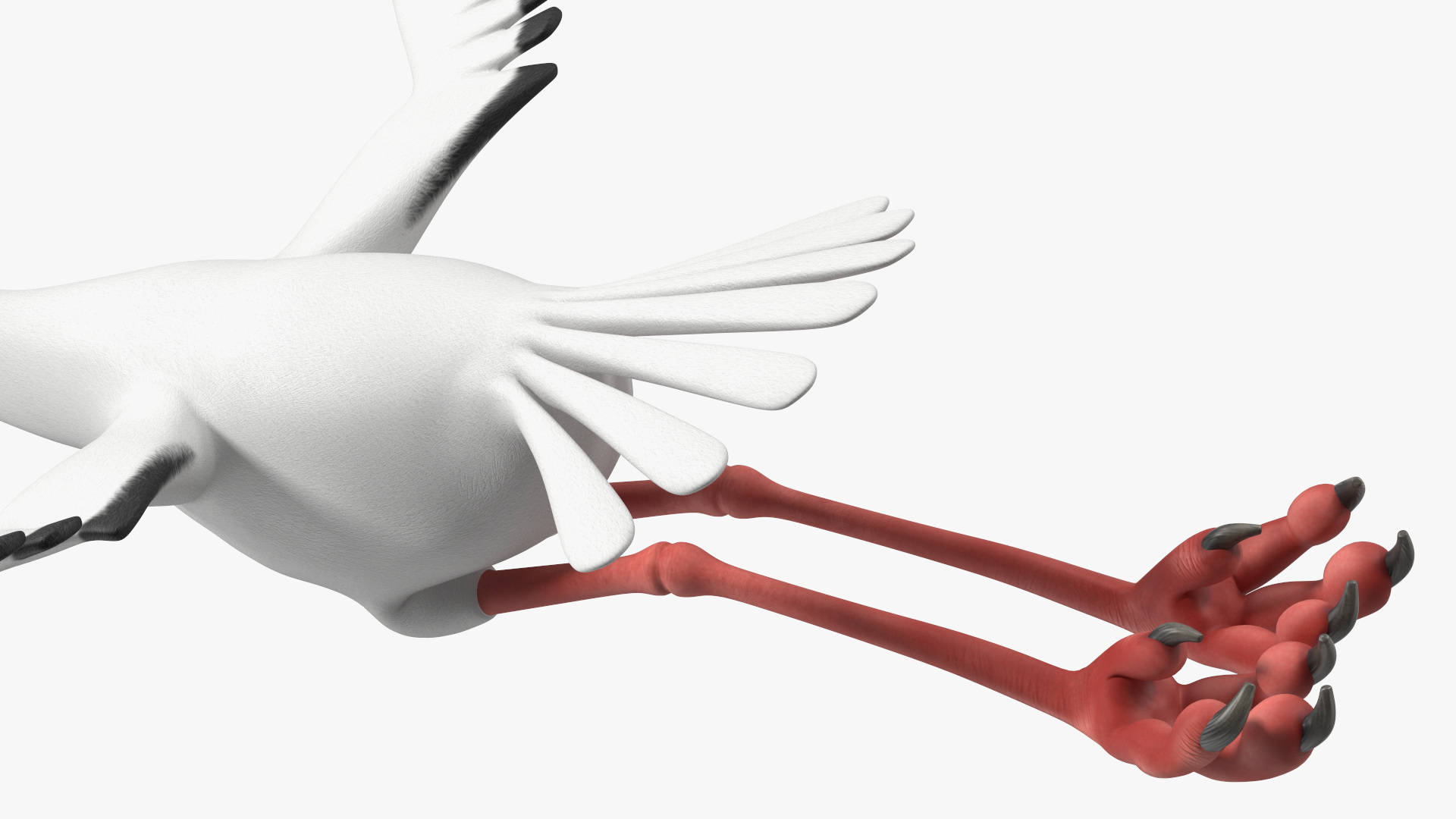3D model Flying Pose Cartoon Stork