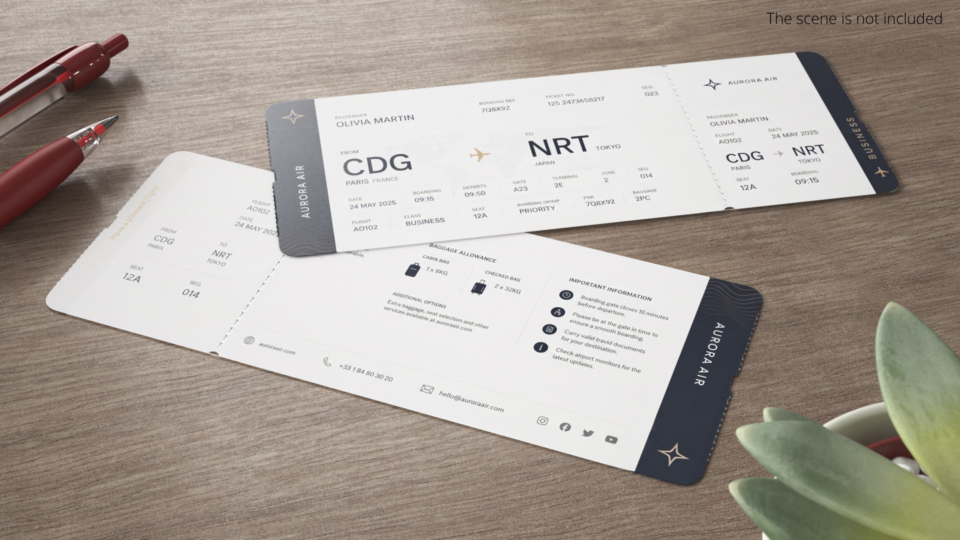 Airline Boarding Pass White, view 2