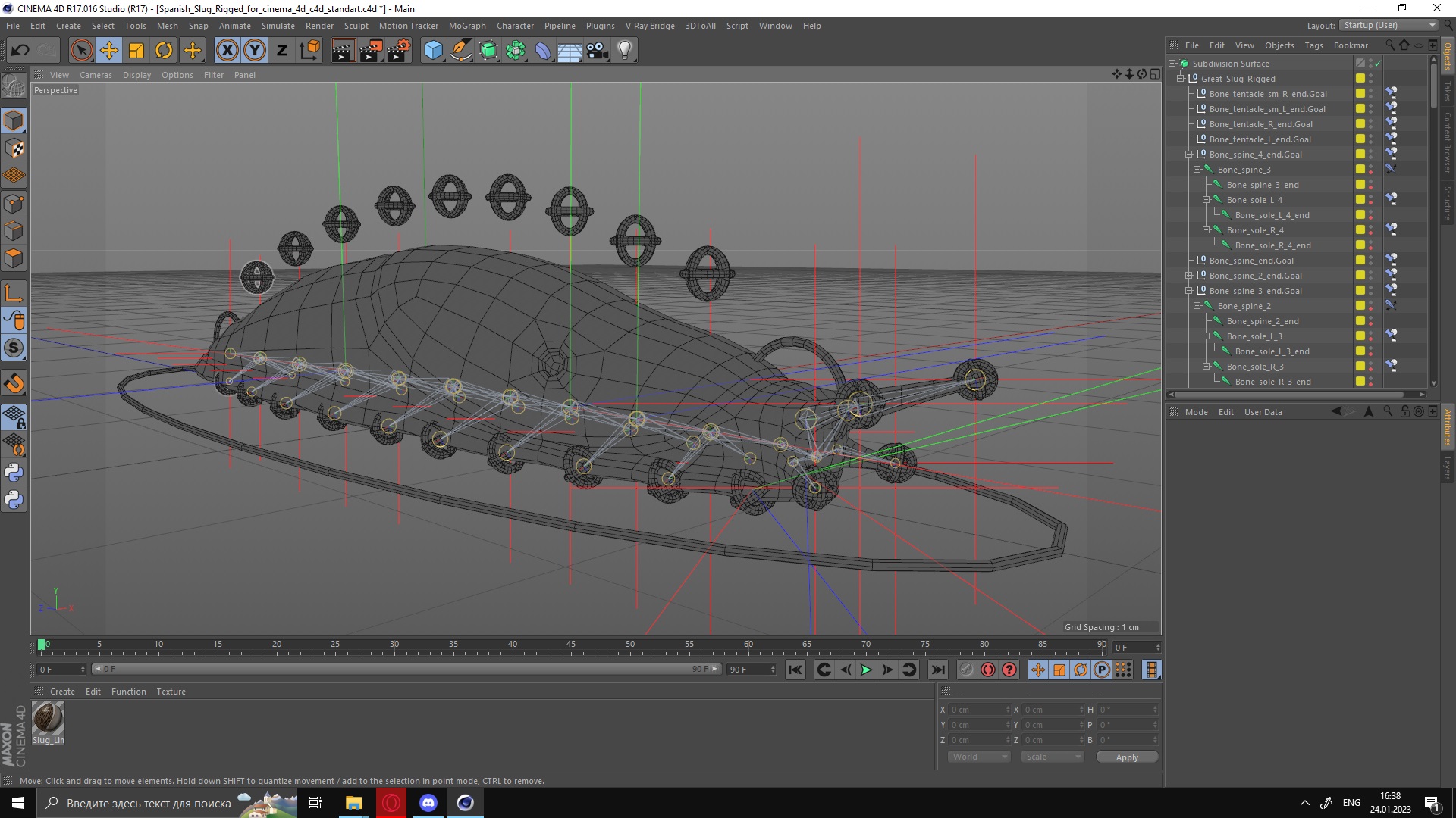 3D Great Slug Rigged for Cinema 4D