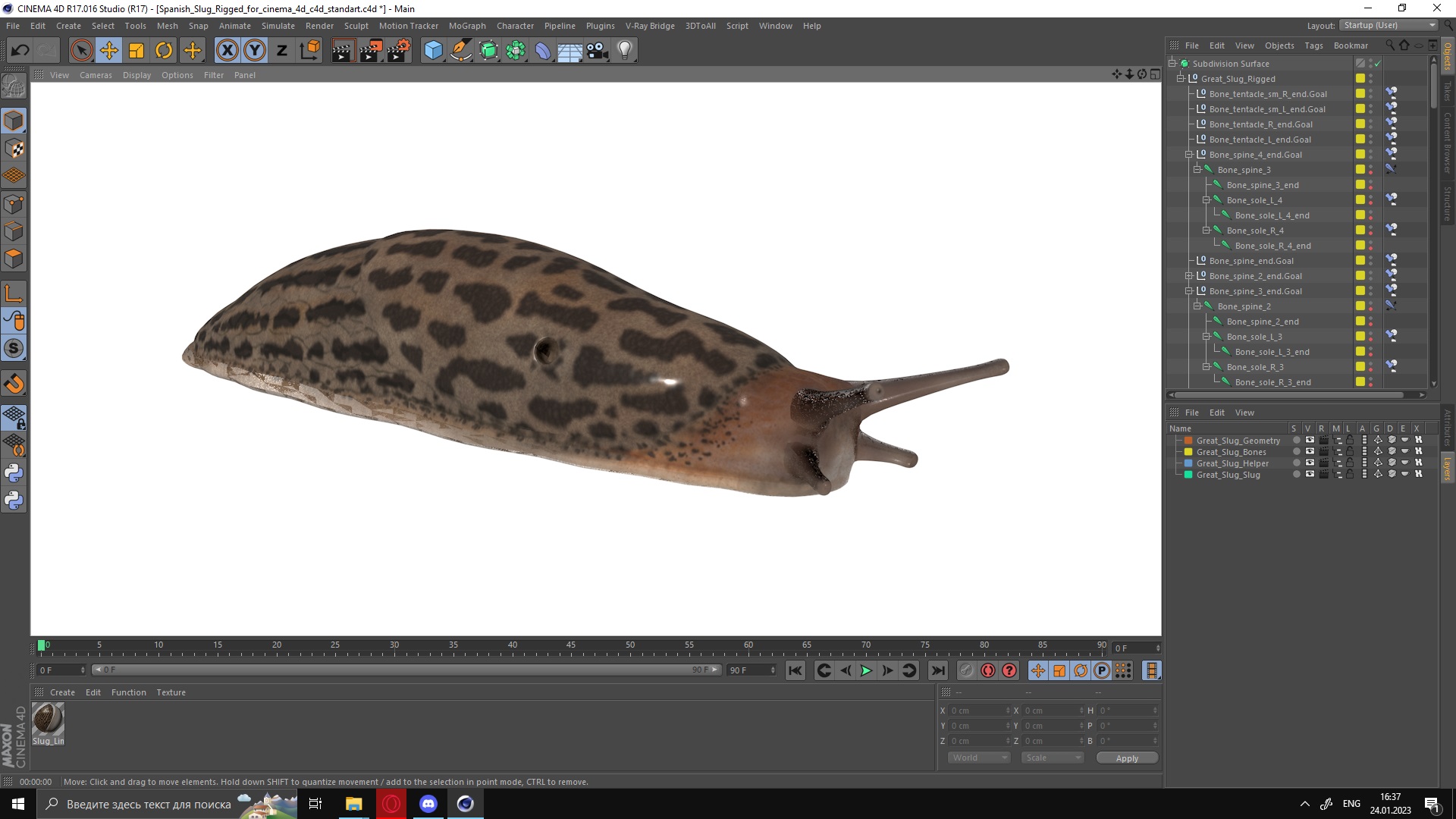 3D Great Slug Rigged for Cinema 4D