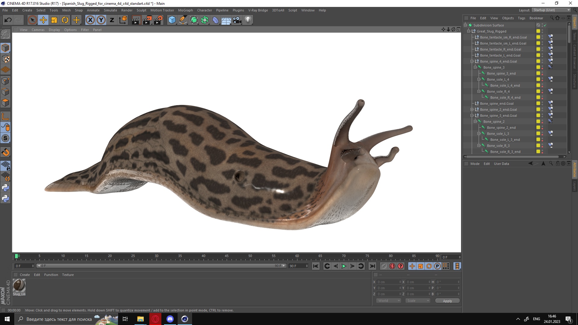3D Great Slug Rigged for Cinema 4D