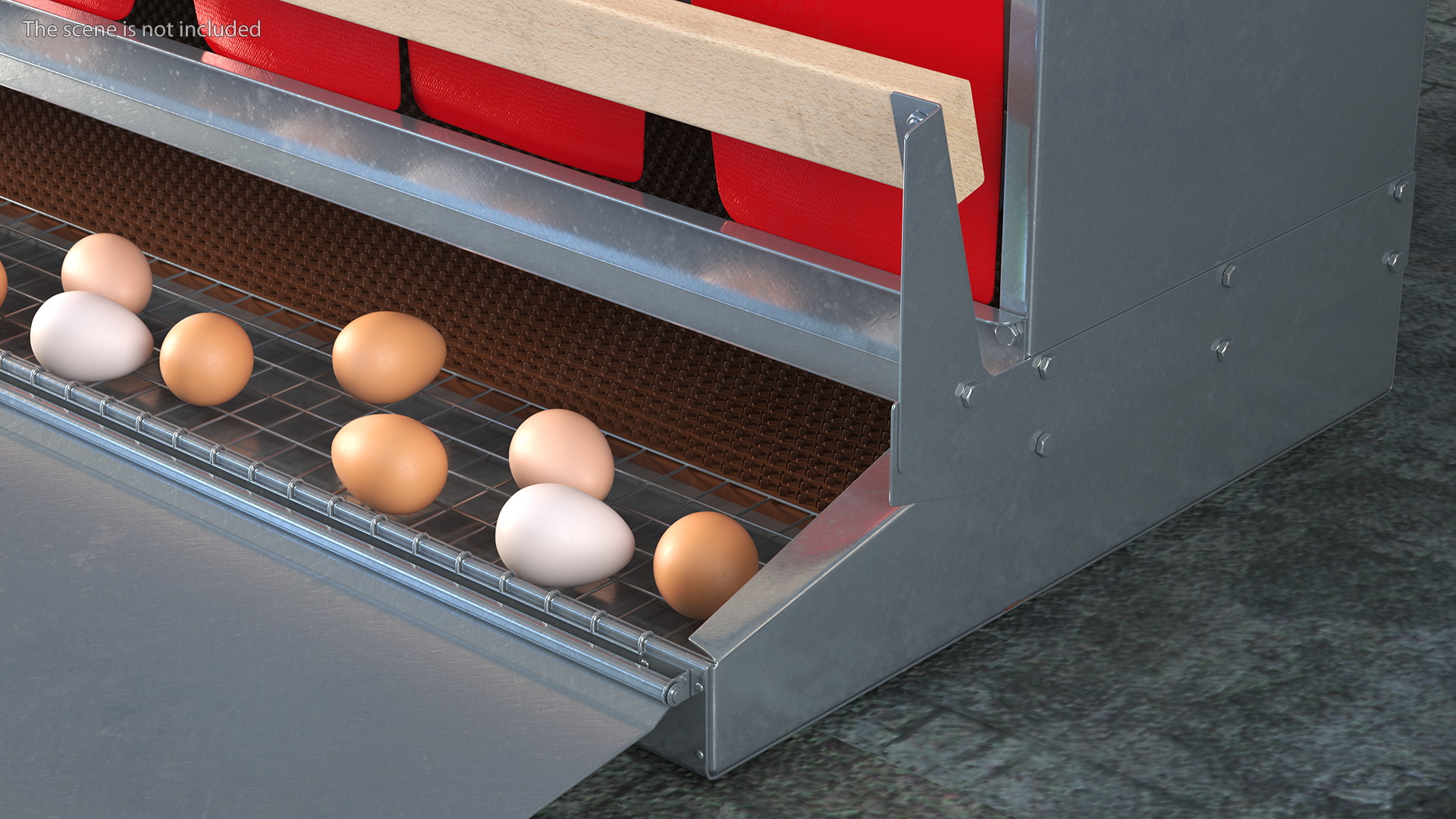 Large Reversible Rollaway Nest Box with Eggs 3D model