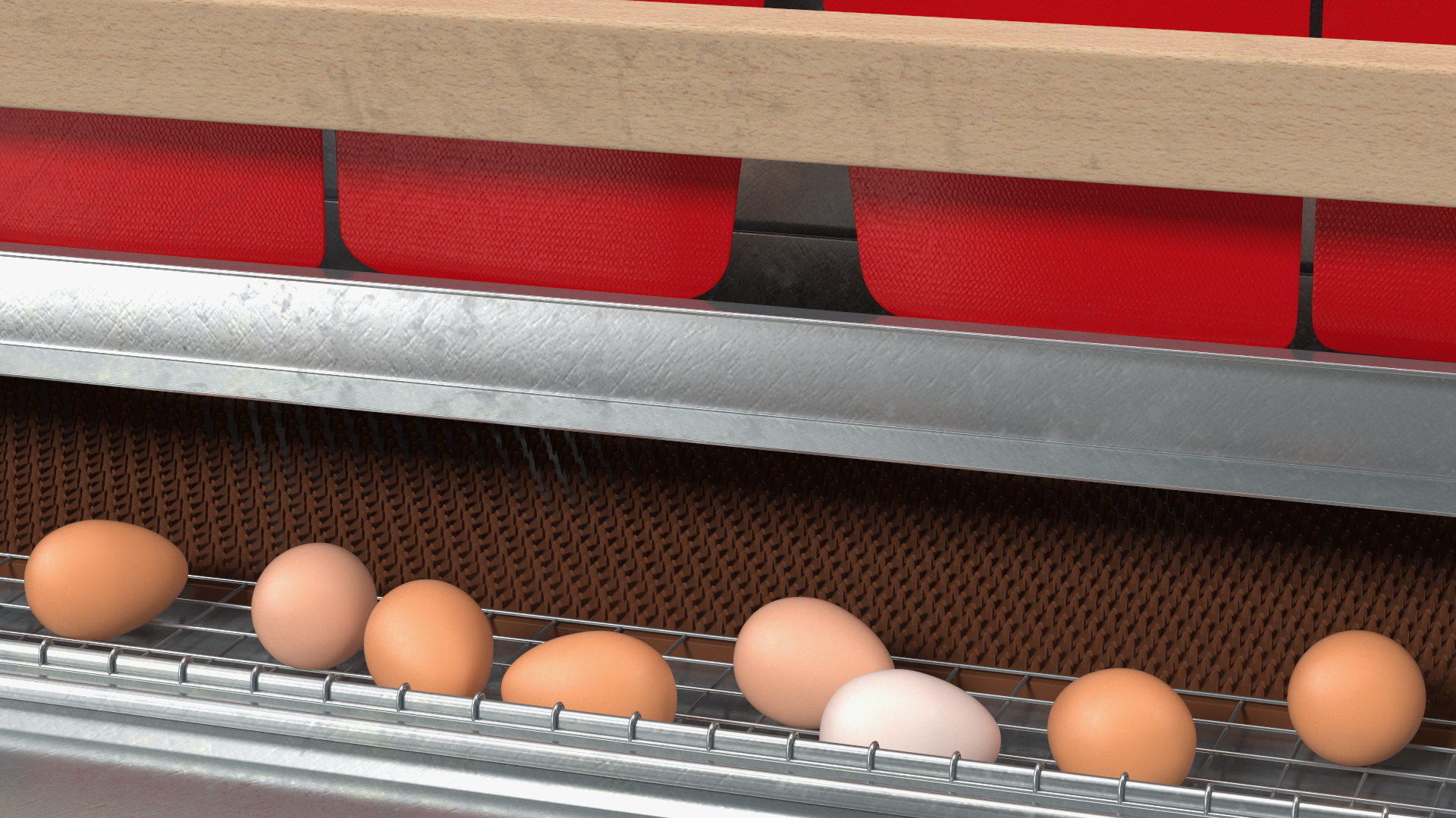Large Reversible Rollaway Nest Box with Eggs 3D model