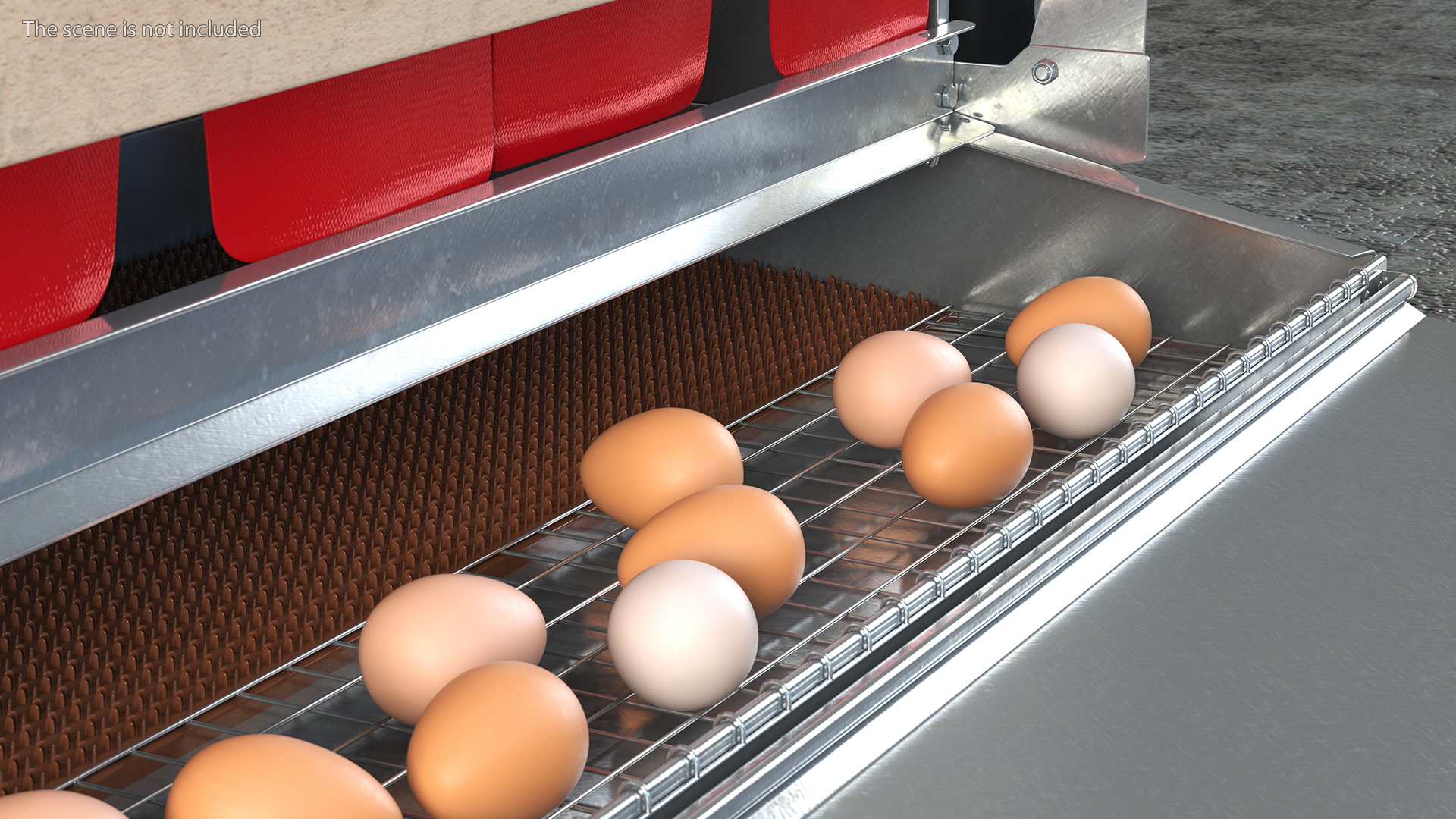 Large Reversible Rollaway Nest Box with Eggs 3D model
