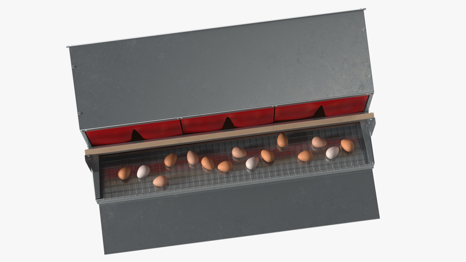 Large Reversible Rollaway Nest Box with Eggs 3D model