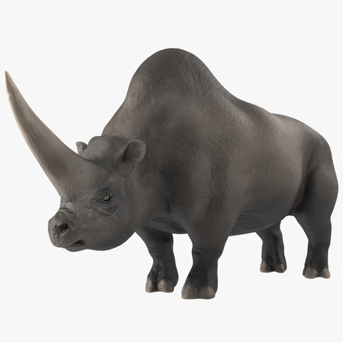 Elasmotherium Rigged for Modo 3D model