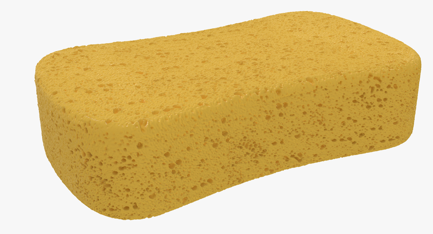 Washing Sponge 3D model