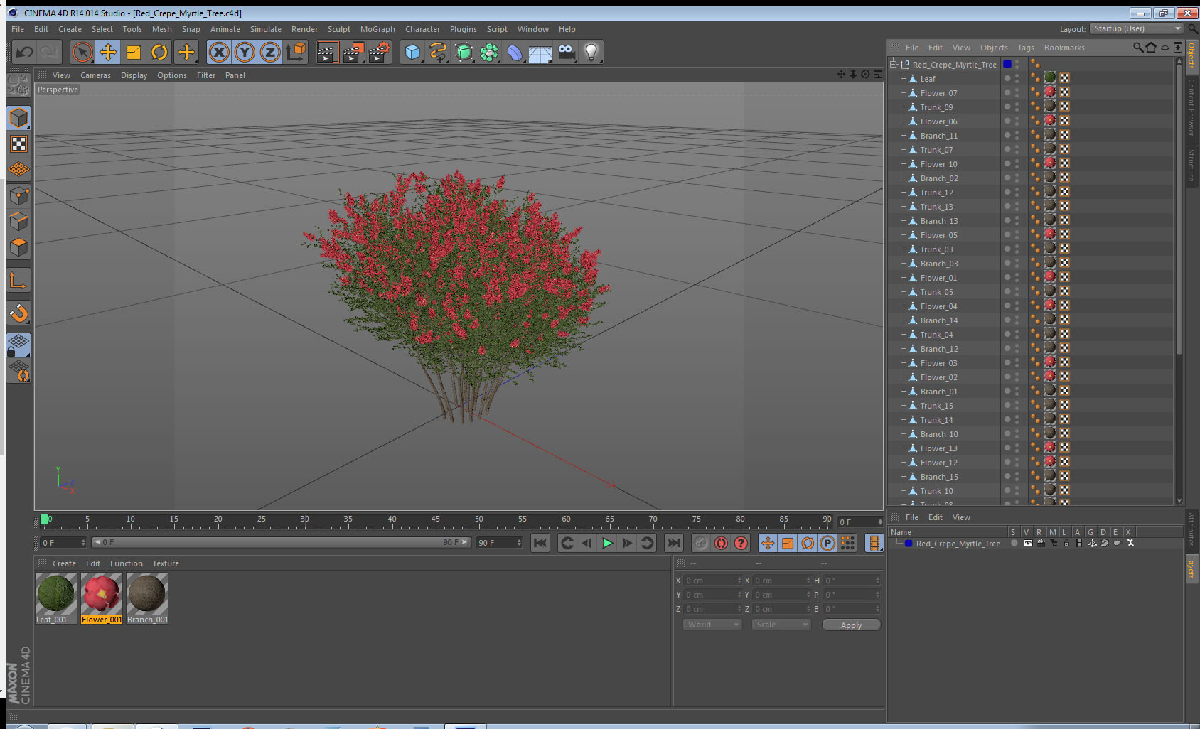3D Red Crepe Myrtle Tree