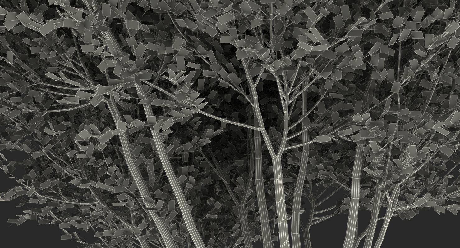3D Red Crepe Myrtle Tree