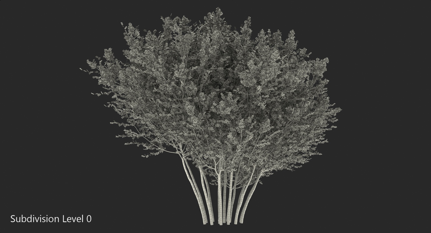 3D Red Crepe Myrtle Tree
