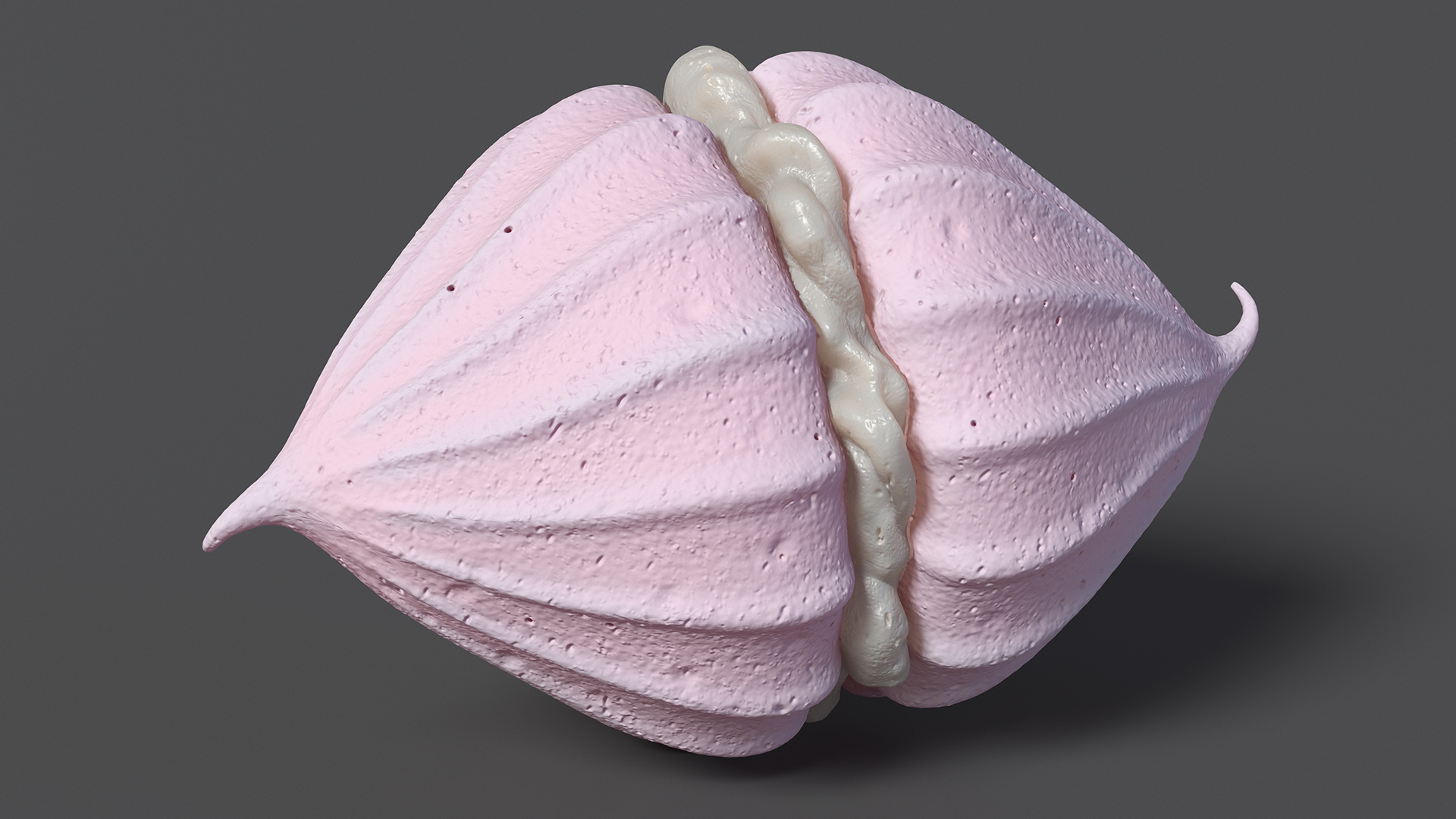 Meringue Pink with Vanilla Filling 3D model