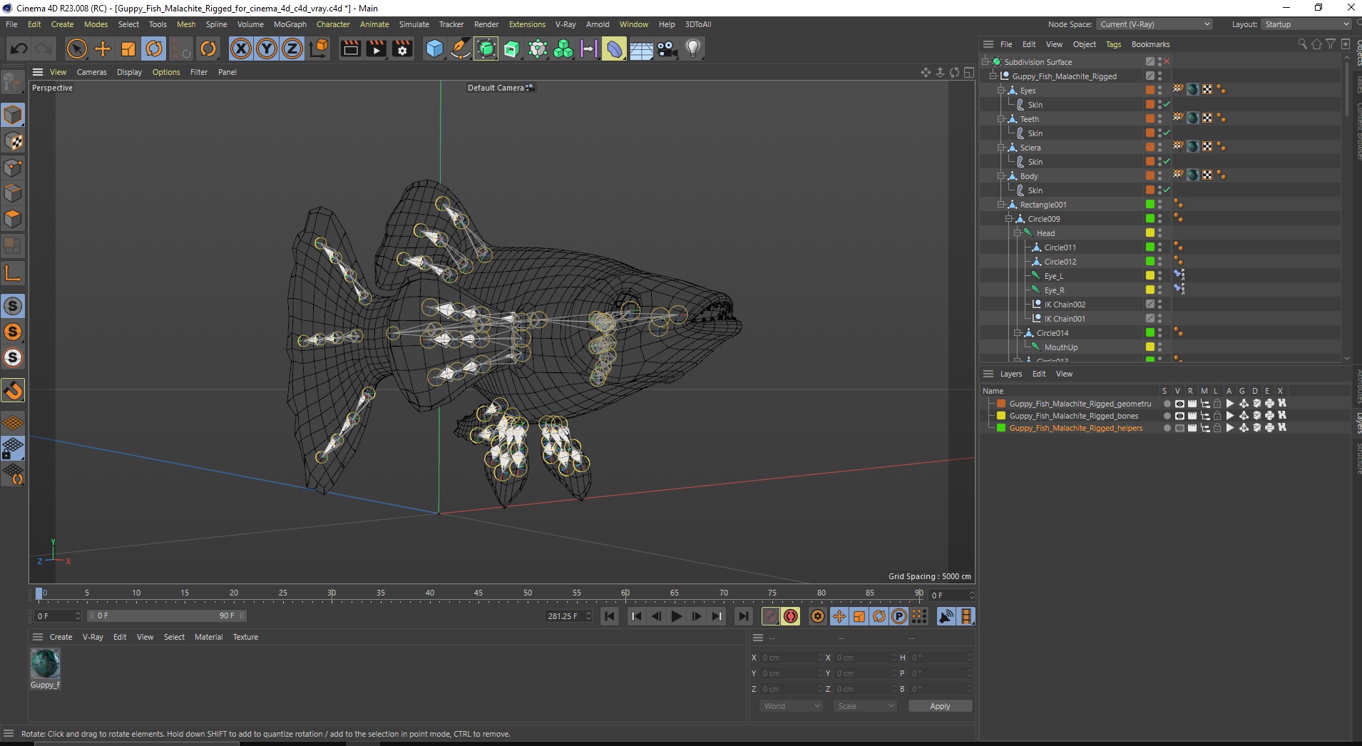 3D Guppy Fish Malachite Rigged for Cinema 4D