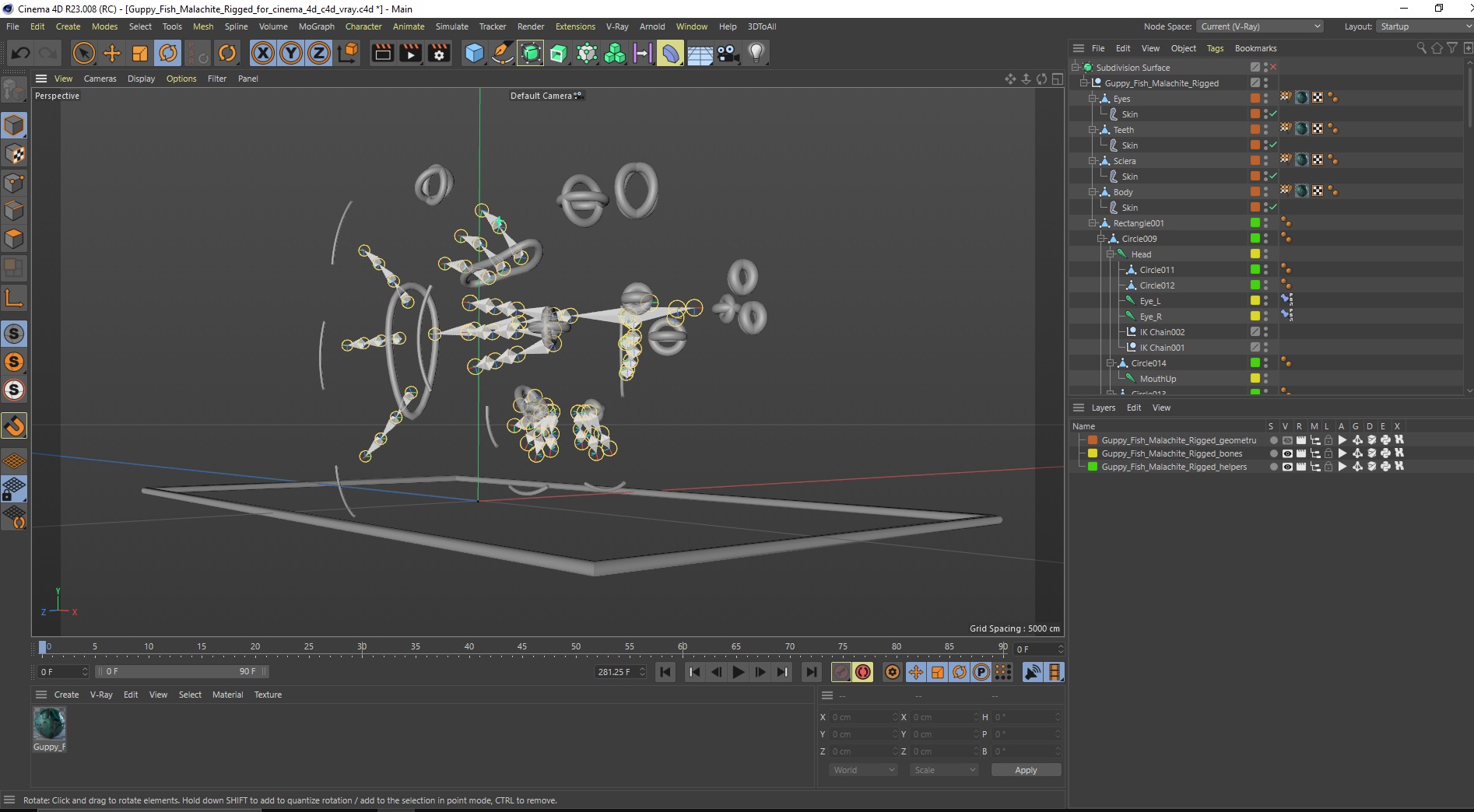 3D Guppy Fish Malachite Rigged for Cinema 4D