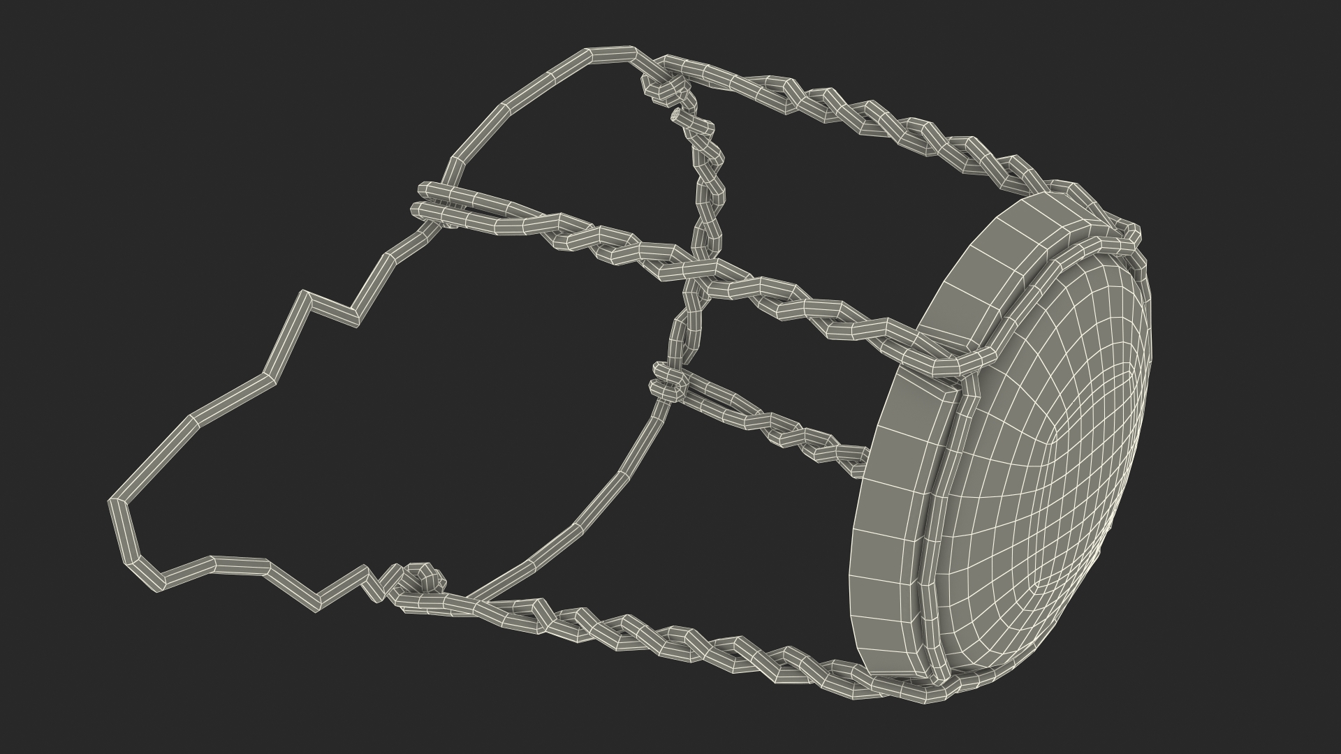 3D Wine Wire Hood with Cap model
