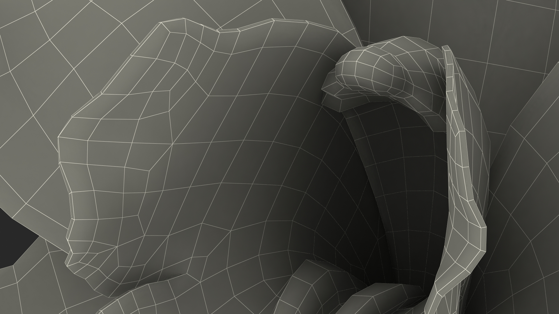 Hybrid Orchid White 3D model