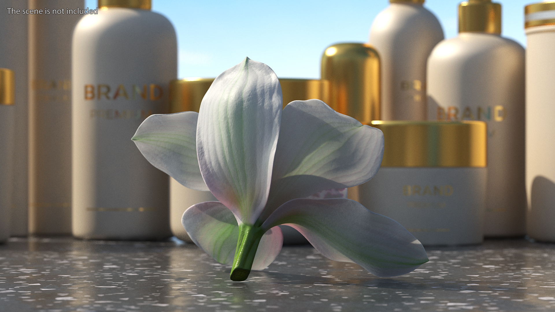 Hybrid Orchid White 3D model