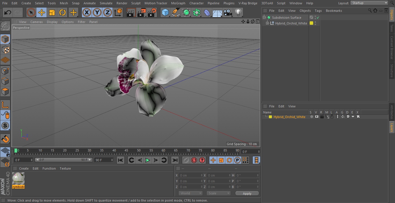 Hybrid Orchid White 3D model