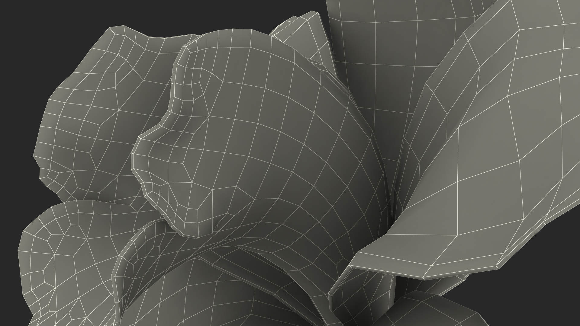 Hybrid Orchid White 3D model